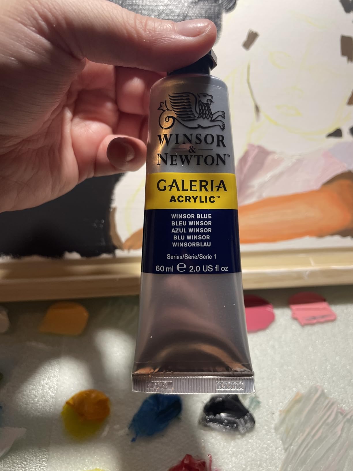 Winsor & Newton Galeria Acrylic Paint, 10 x 60ml (2-oz) Tube Paint Set customer photo 1