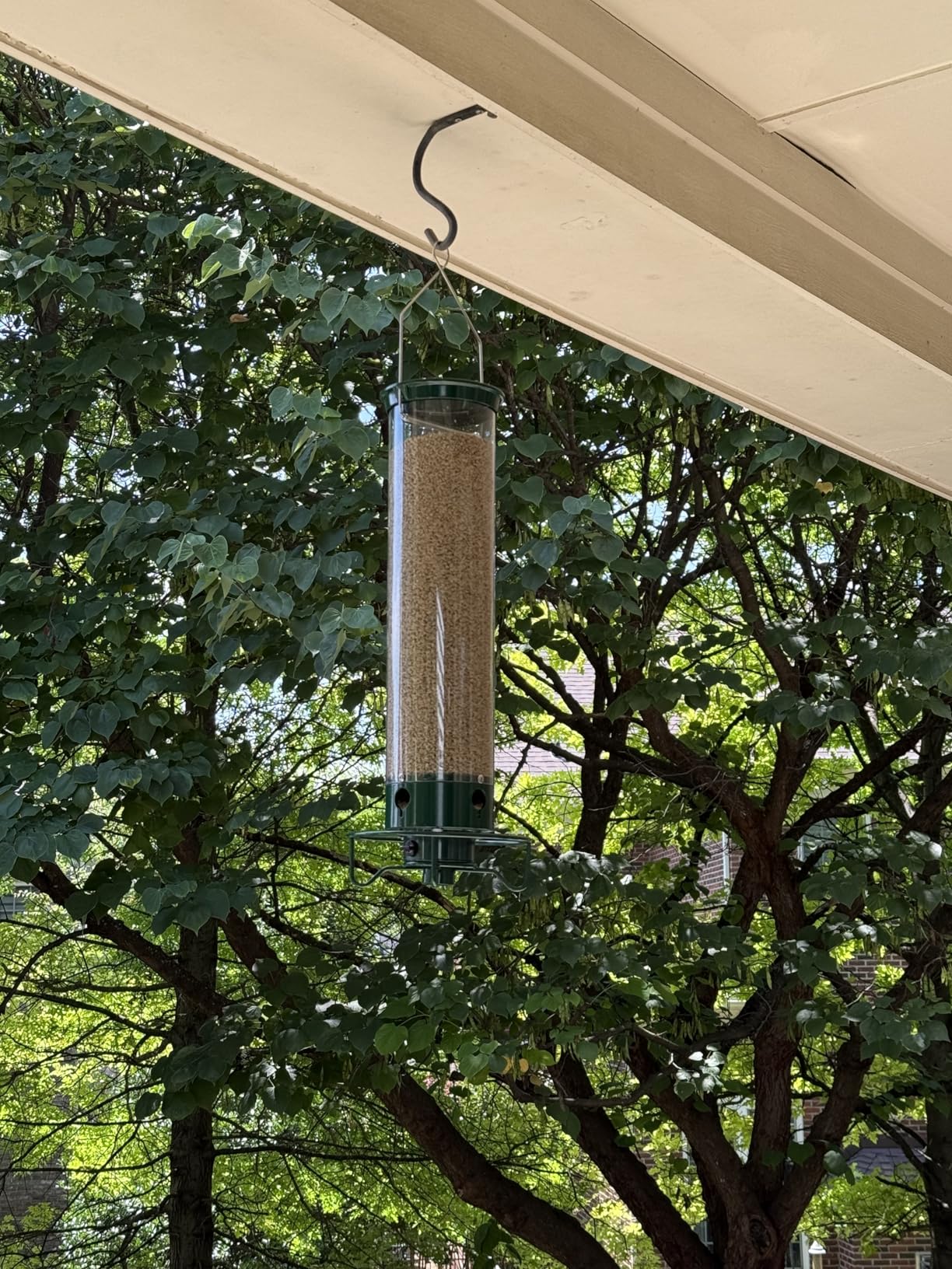 Droll Yankees Squirrel Proof Bird Feeders for Outdoors - YF-M - Flipper, Collapsible Perches, 5-Pound Seed Capacity, Green customer photo 2