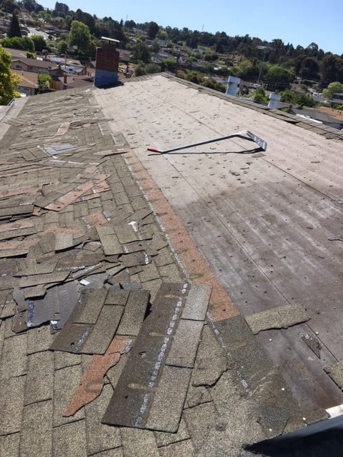 Guardian Fall Protection 54-Inch Shingle Removal Shovel 2560P , Red customer photo 2