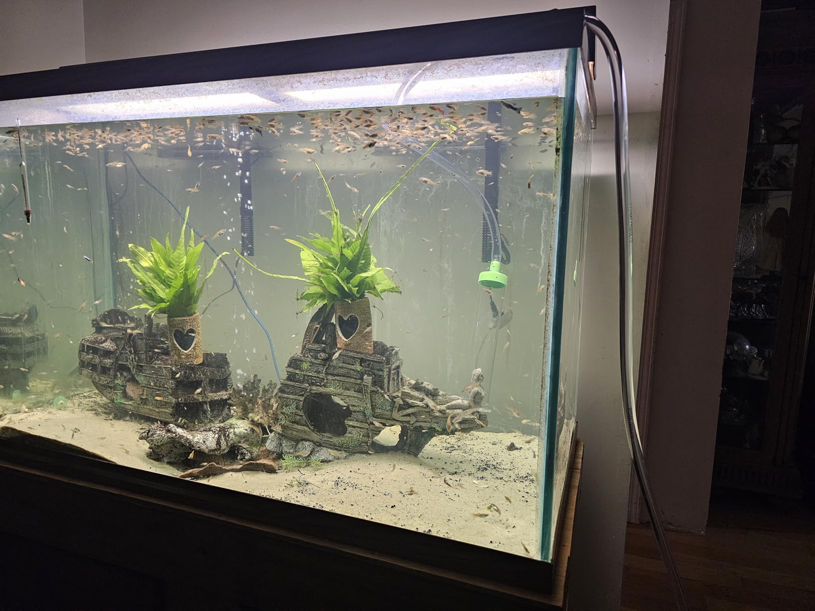 Python No Spill Clean and Fill Aquarium Maintenance System, Gravel Cleaner and Water Changer, 50 Foot customer photo 1