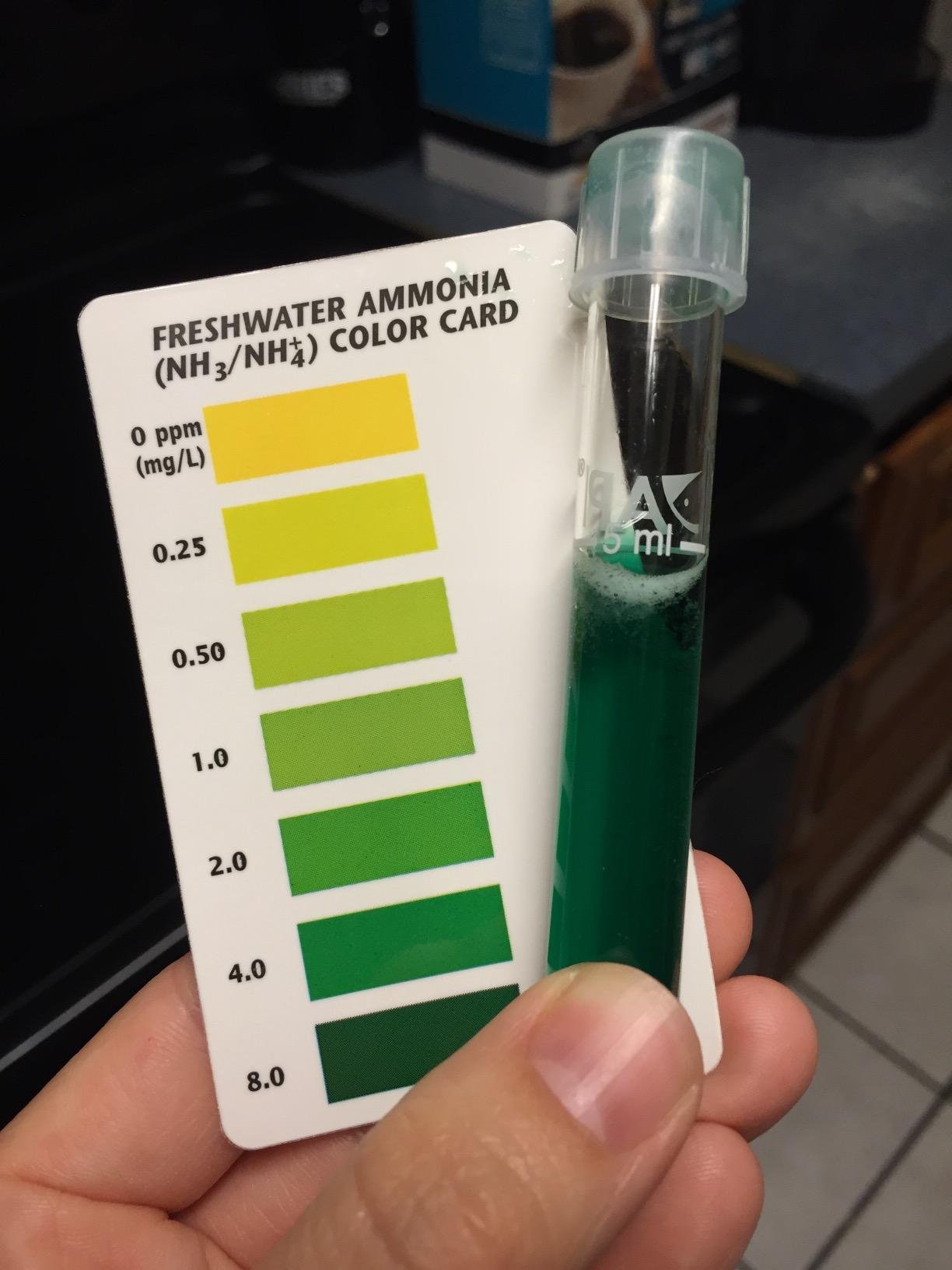 API AMMONIA 130-Test Freshwater and Saltwater Aquarium Water Test Kit customer photo 2