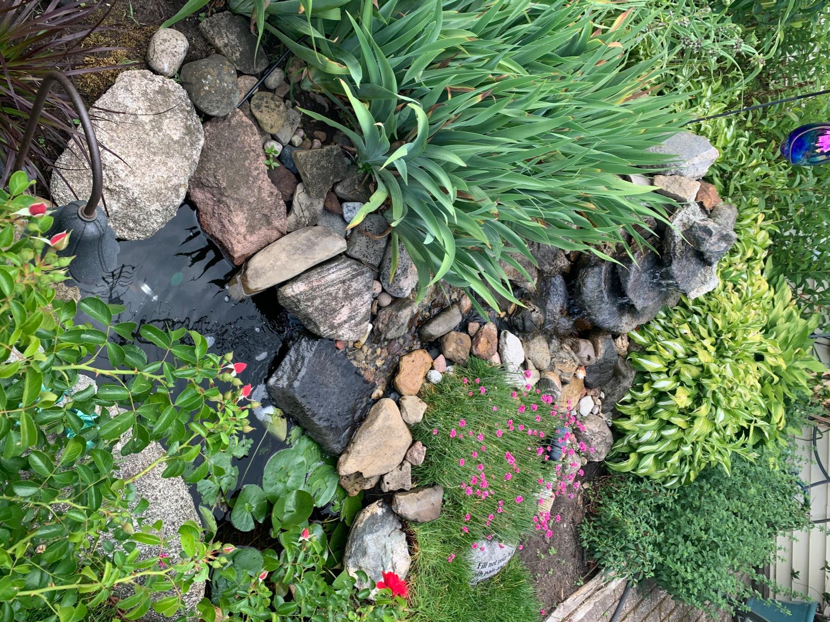 Danner Manufacturing Pondmaster 950 GPH Pond-Mag Magnetic Drive Water Pump customer photo 2