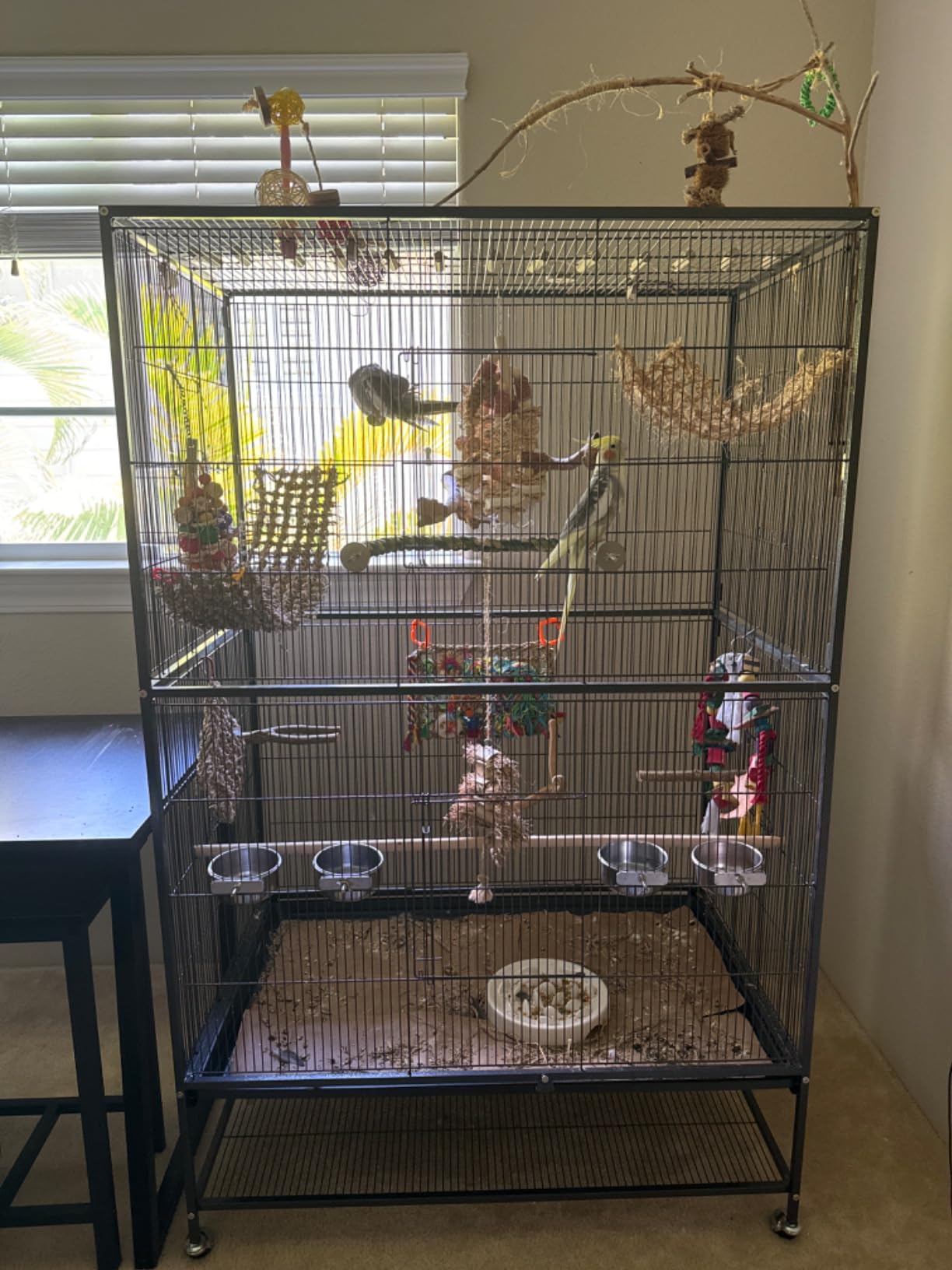 Prevue Hendryx Pet Products Wrought Iron Flight Cage - Big Rolling Bird Cage for Parakeets, Cockatiels, Conures, Lovebirds, Canaries, Finches, Parrotlets, & Caiques, 5 Ft - X-Large, Hammertone Black customer photo 2