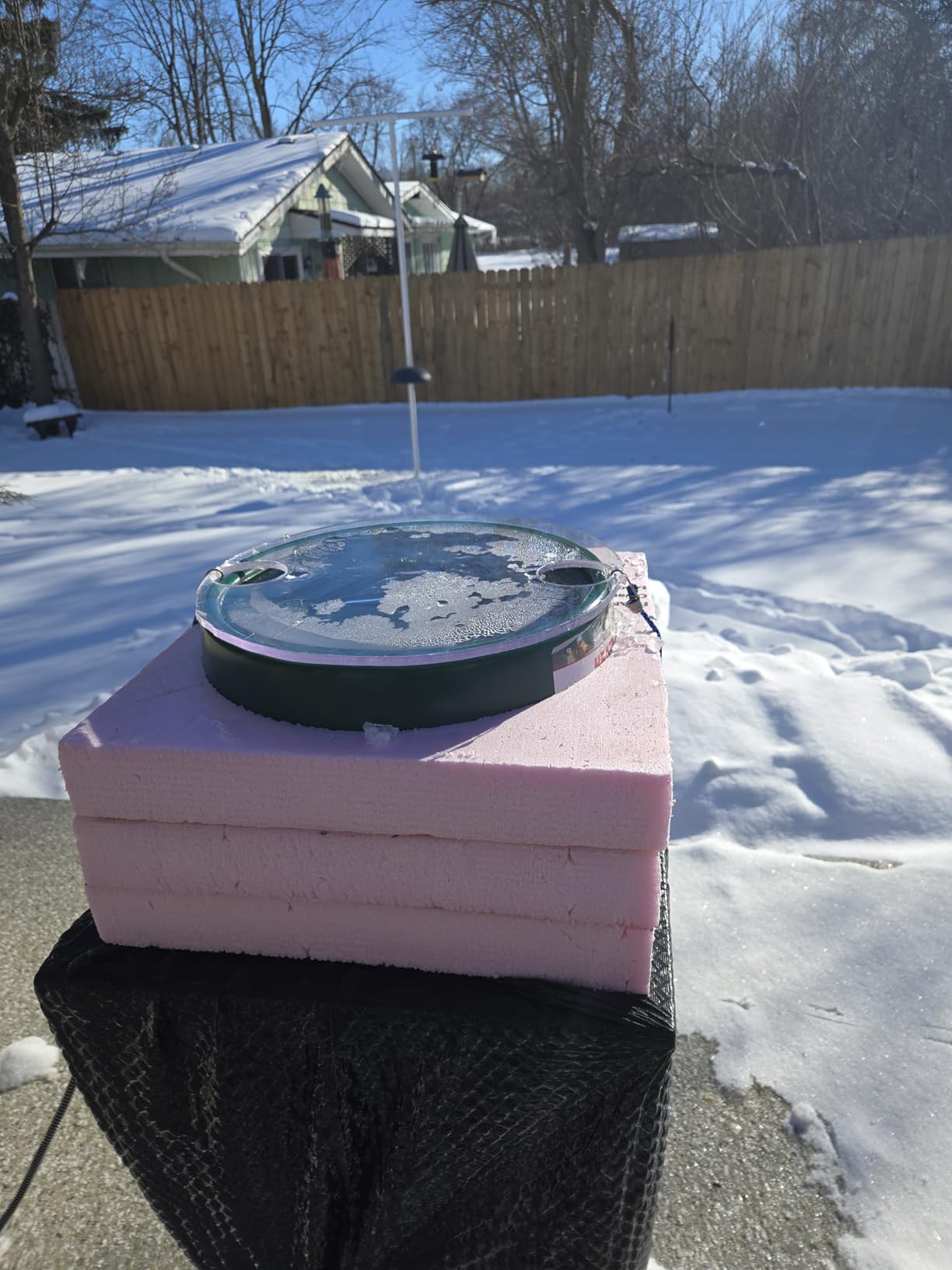 Farm Innovators Heated Pet Water Bowl, 60W Heated Water Dish - 1.5 Gallon Plastic Watering Station with Anti-Chew Cord Protector for Dogs & Cats customer photo 2