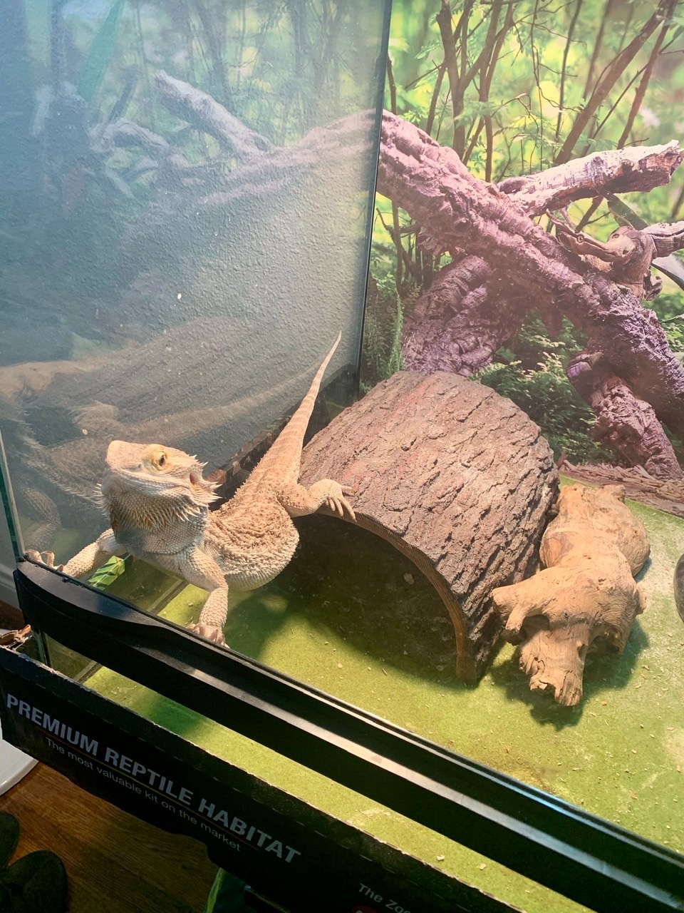 Fluker's Ceramic Heat Emitter, Natural Infrared Heating Bulb for Reptiles, 100 Watt customer photo 1