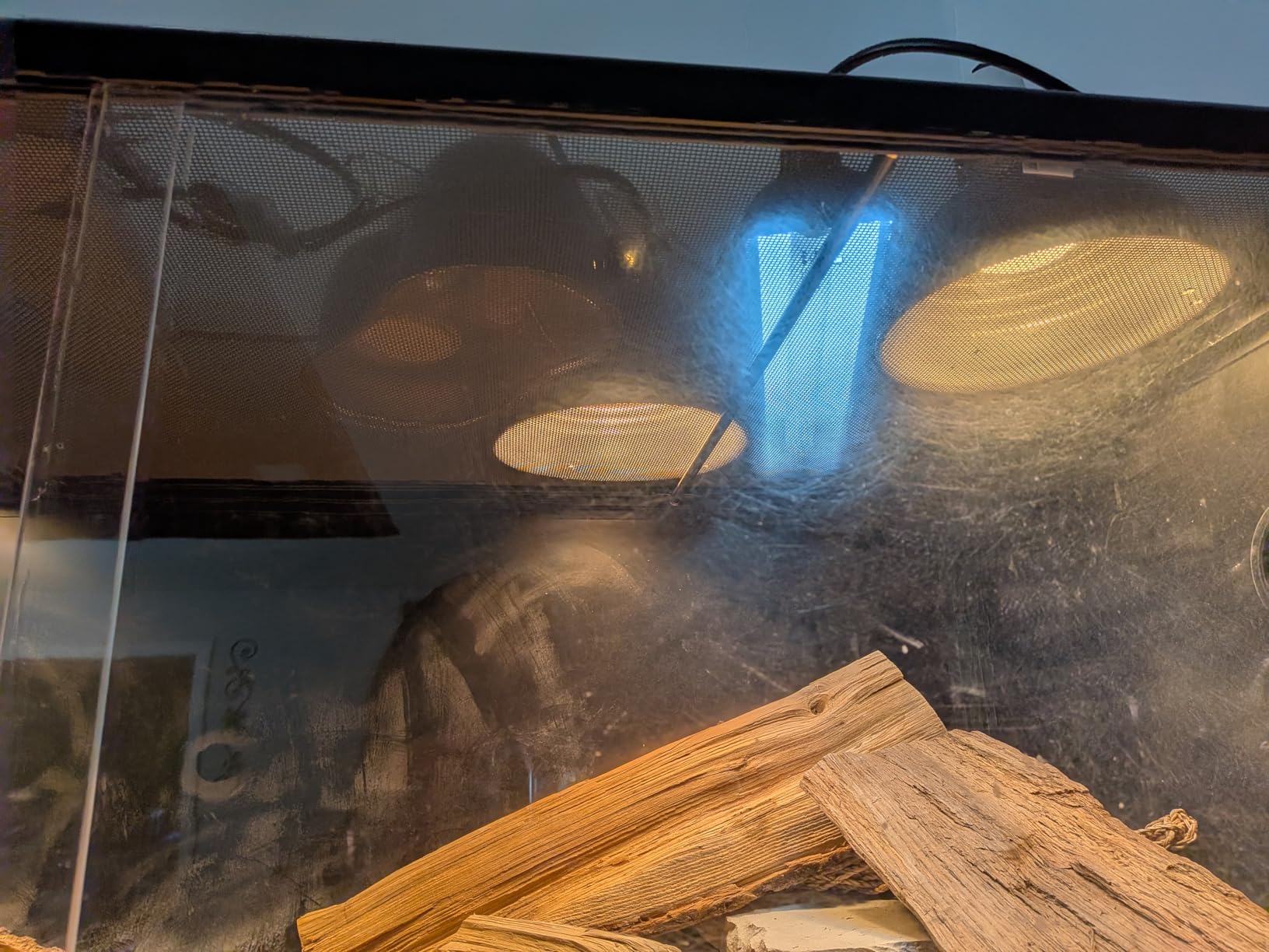 Fluker's Incandescent Basking Spotlight Bulbs for Reptiles Tanks, Reptile Heat Lamp Bulbs for Infrared Light, 100-Watt customer photo 2