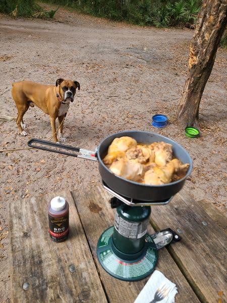 Coleman BottleTop Propane Stove with Adjustable Burner, Portable Camping/Backpacking Cooker with 7650 BTUs of Power for Camping, Tailgating, Grilling, & More customer photo 2