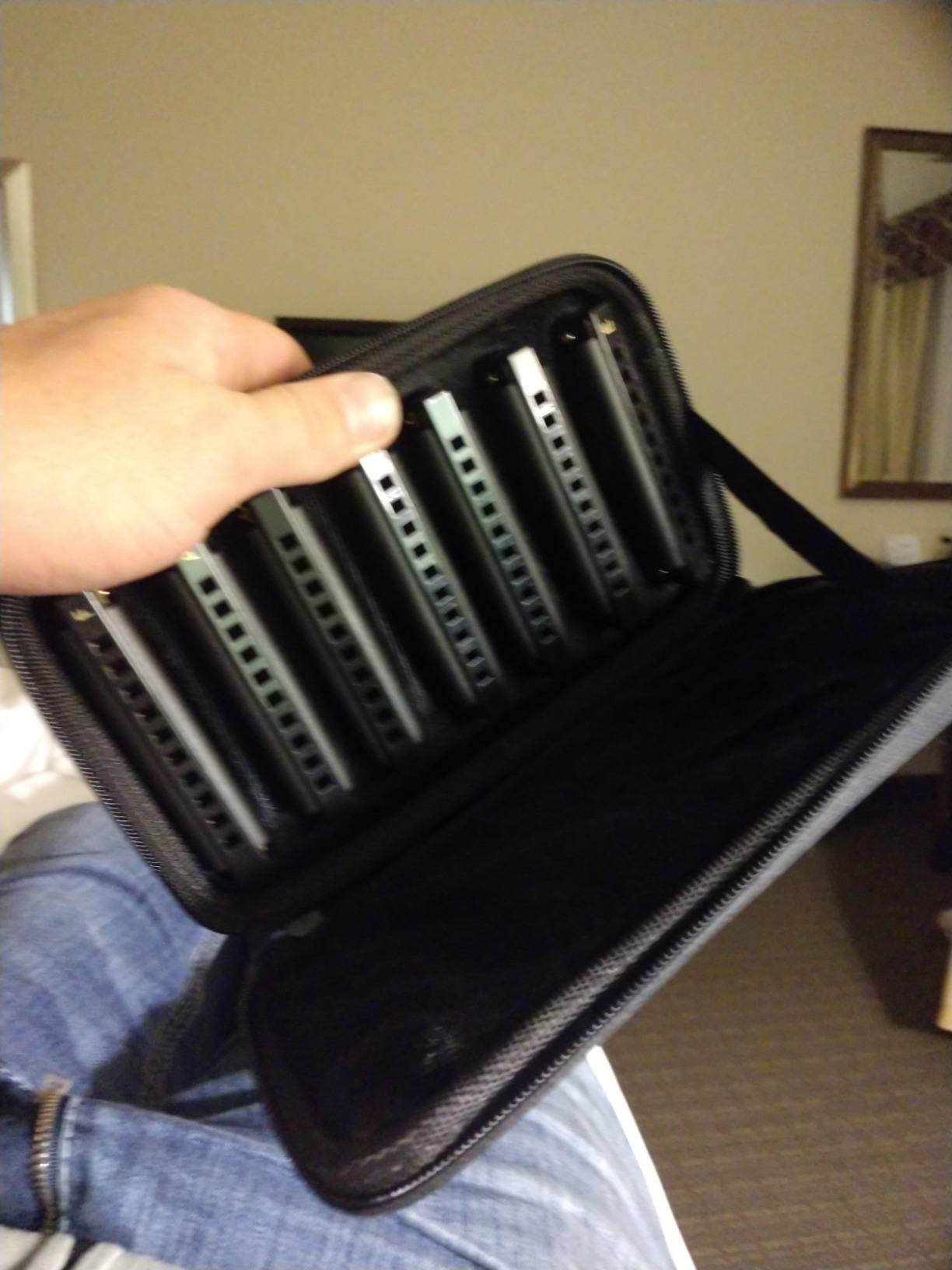 Hohner PBH7 Piedmont Blues Harmonica Set - 7-Pack customer photo 1