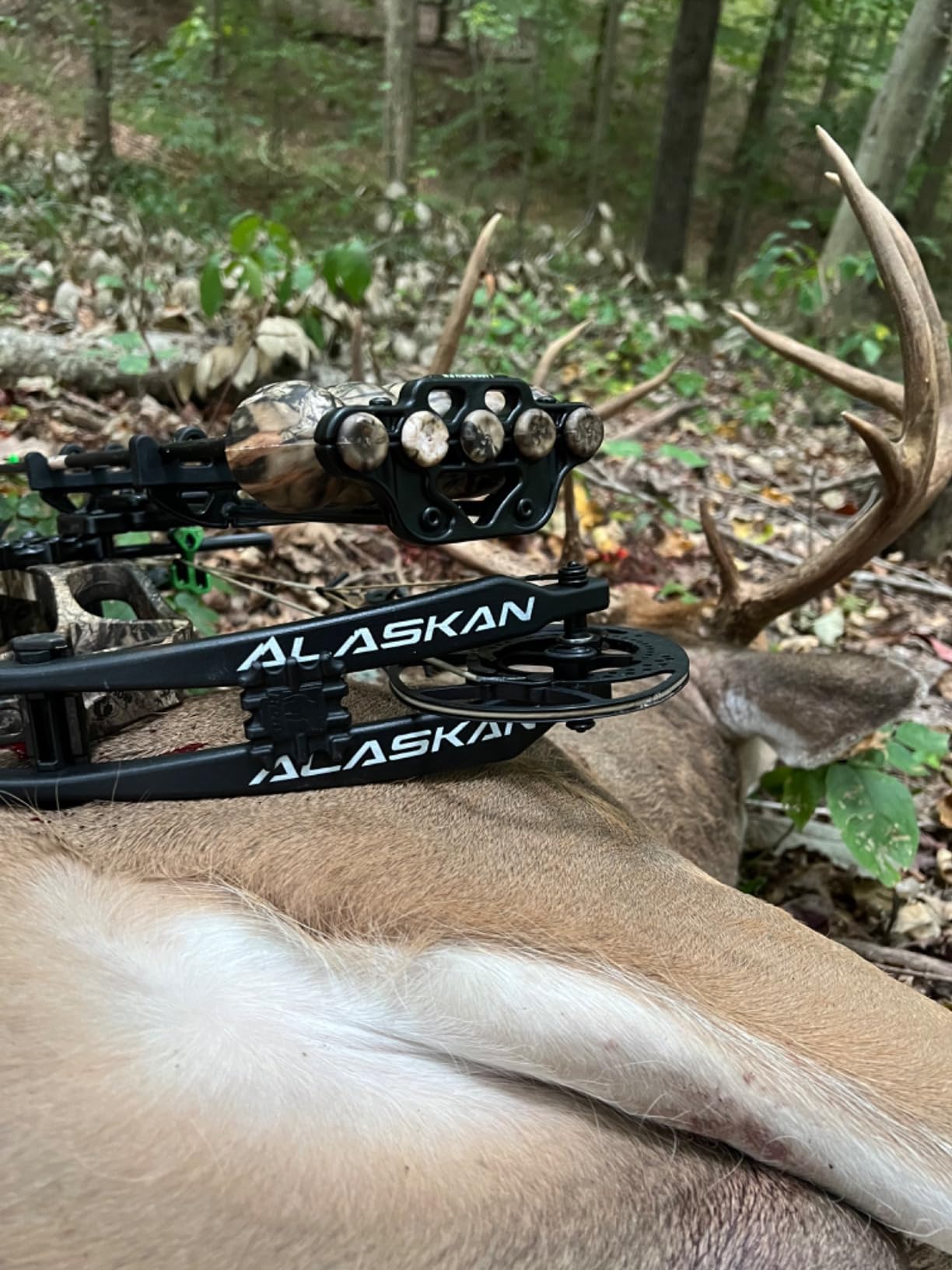 LimbSaver Silent Quiver for Bow Hunting, One Piece, Lightweight and Low Profile, Works with Right and Left-Handed Bows, Fits All Arrow Sizes customer photo 1