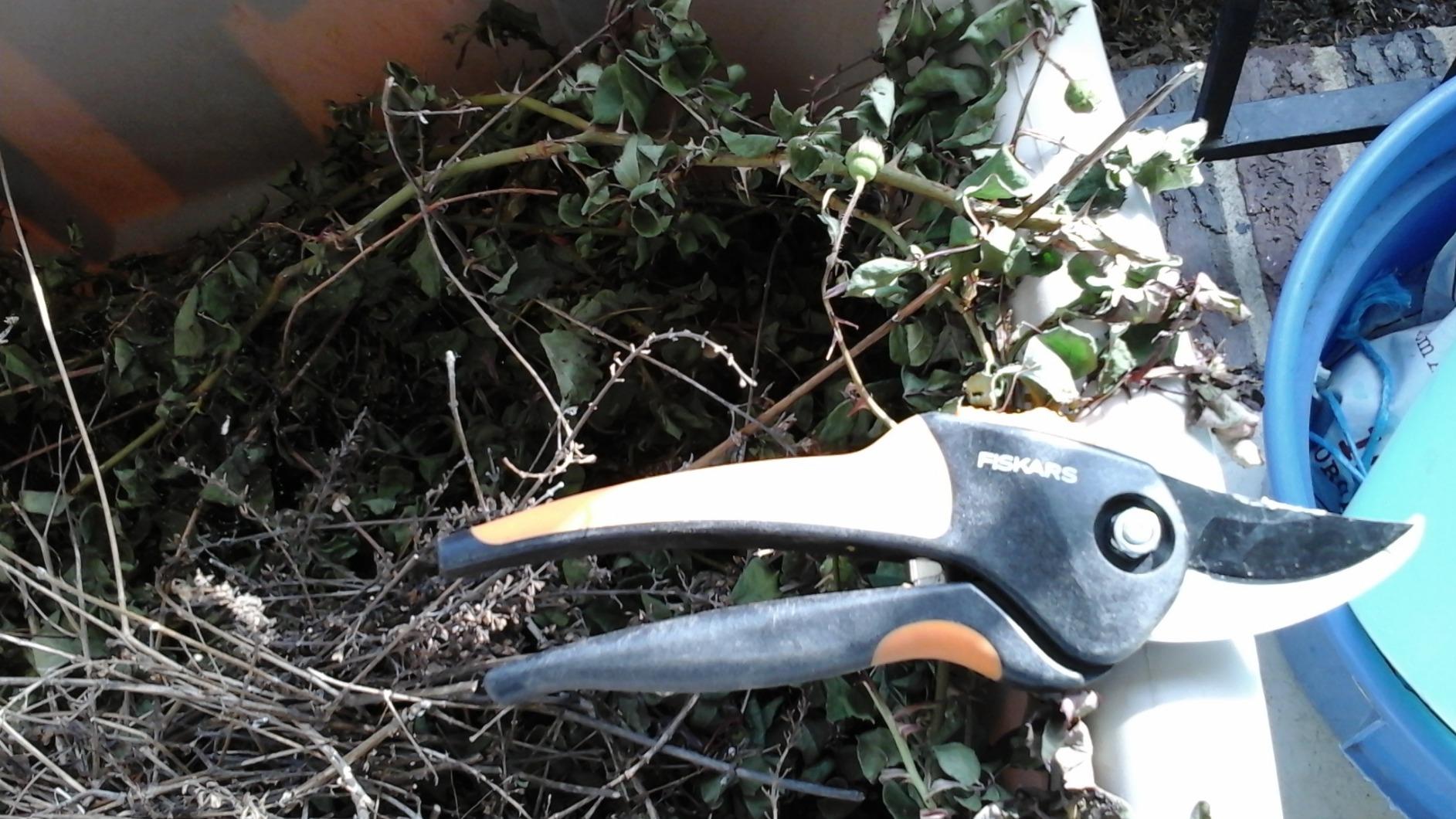 Fiskars Bypass Pruning Shears, Branch Cutter with 5/8