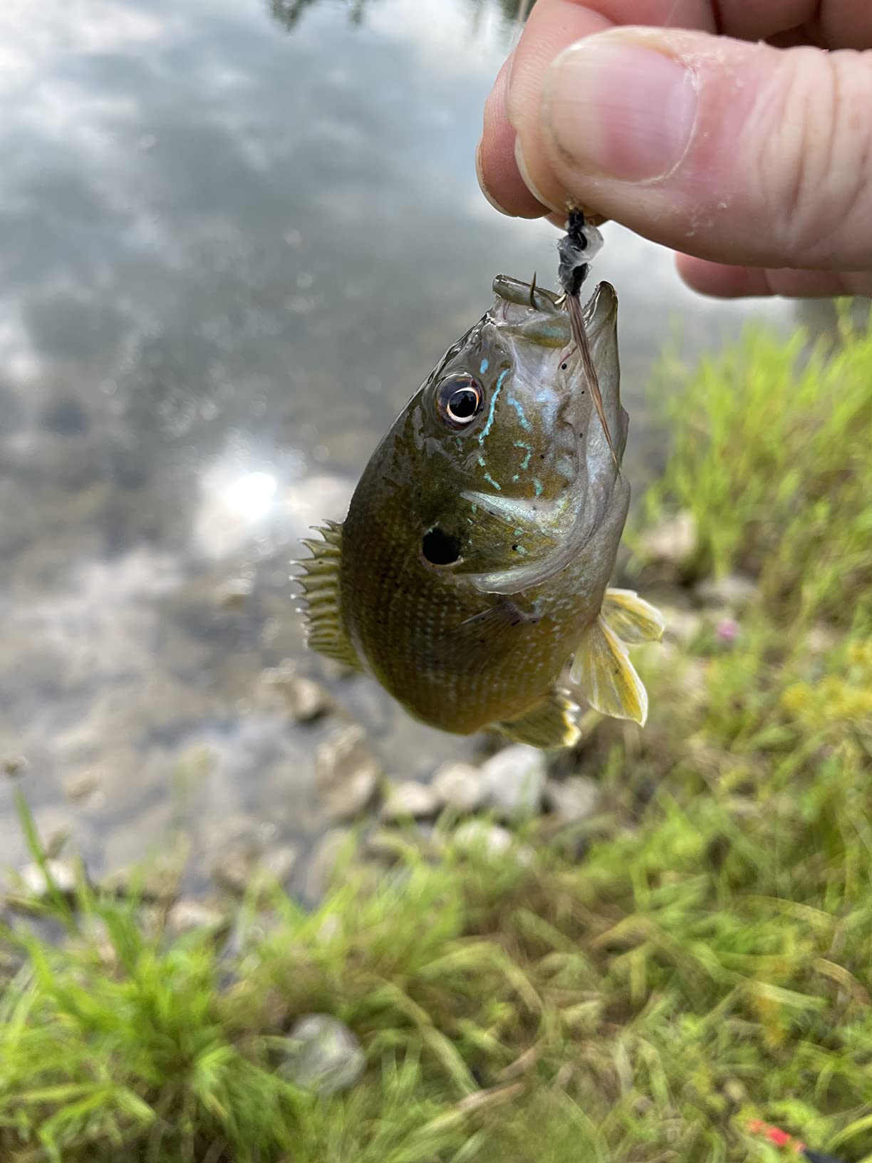 WETFLY Deluxe Fly Tying Vise & Tools Kit customer photo 2