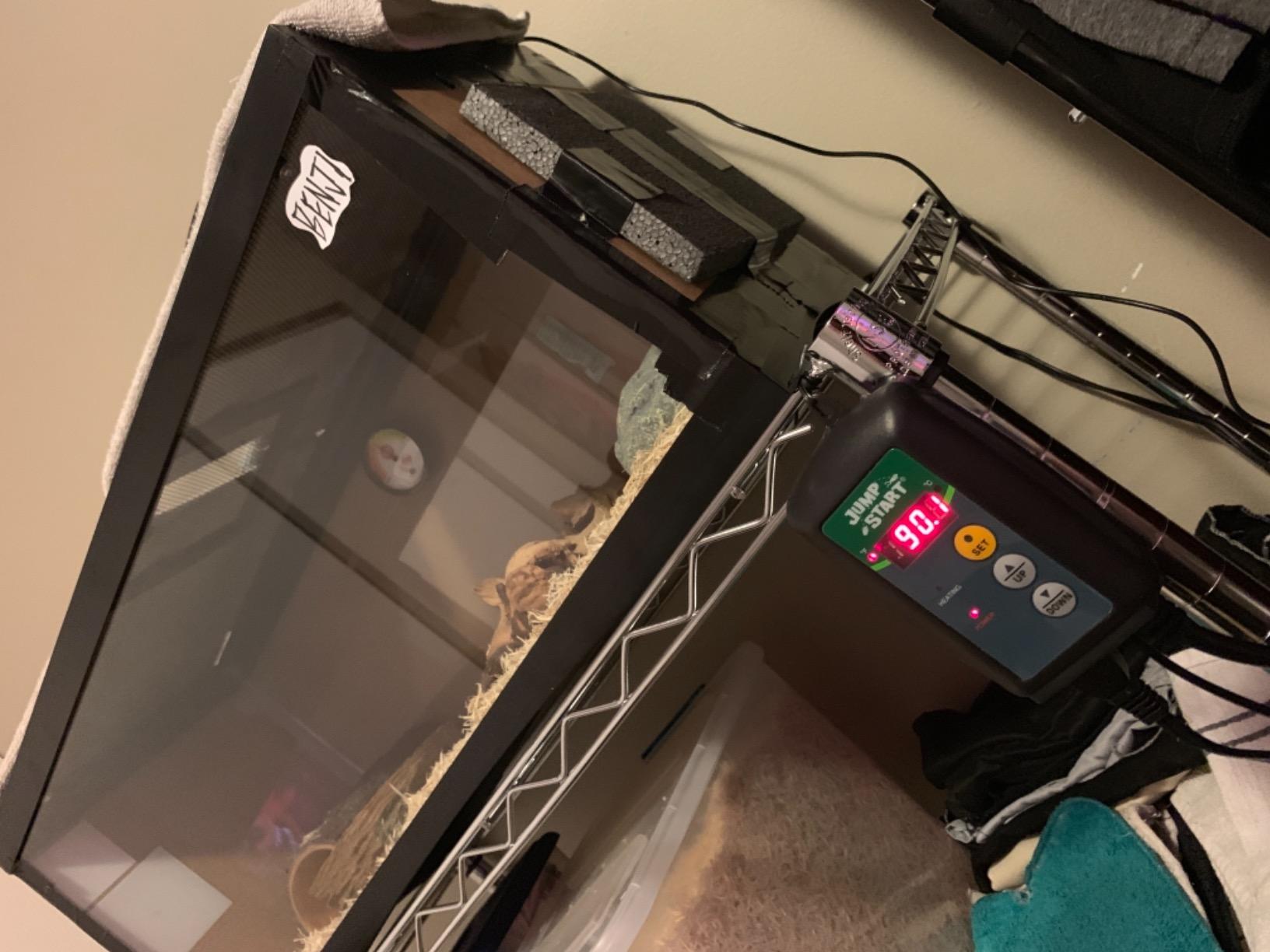 JumpStart by Hydrofarm Digital Thermostat Controller for Heat Mats, MTPRTC, Water Resistant Probe, Celcius or Farenheit Read-Out, 6' Cord customer photo 1