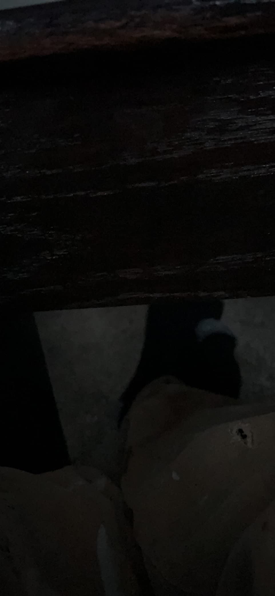 Plano Protector PillarLock Series Bow Case, Black, Archery Storage, Lockable with High-Density Interior Padding, Hard Protective Case, Holds Up to 6 Arrows customer photo 1