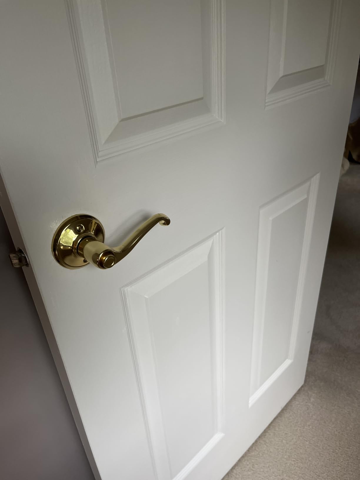 Schlage F10 FLA 605 Flair Door Lever, Hall & Closet Passage Lock, Bright Brass customer photo 1