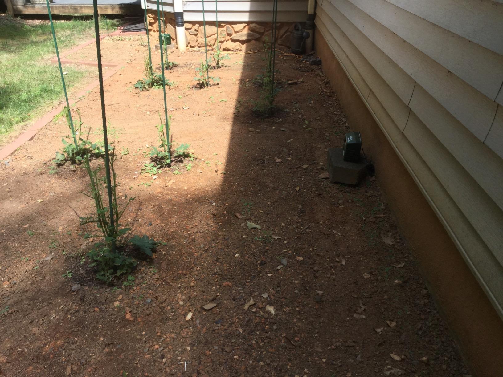 Bird-X Yard Gard, Electronic and Ultrasonic Animal Stopper Device with Motion-Sensor, Easy to Install, Covers up to 4,000 sq. ft., 15-25 kHz Frequency customer photo 2