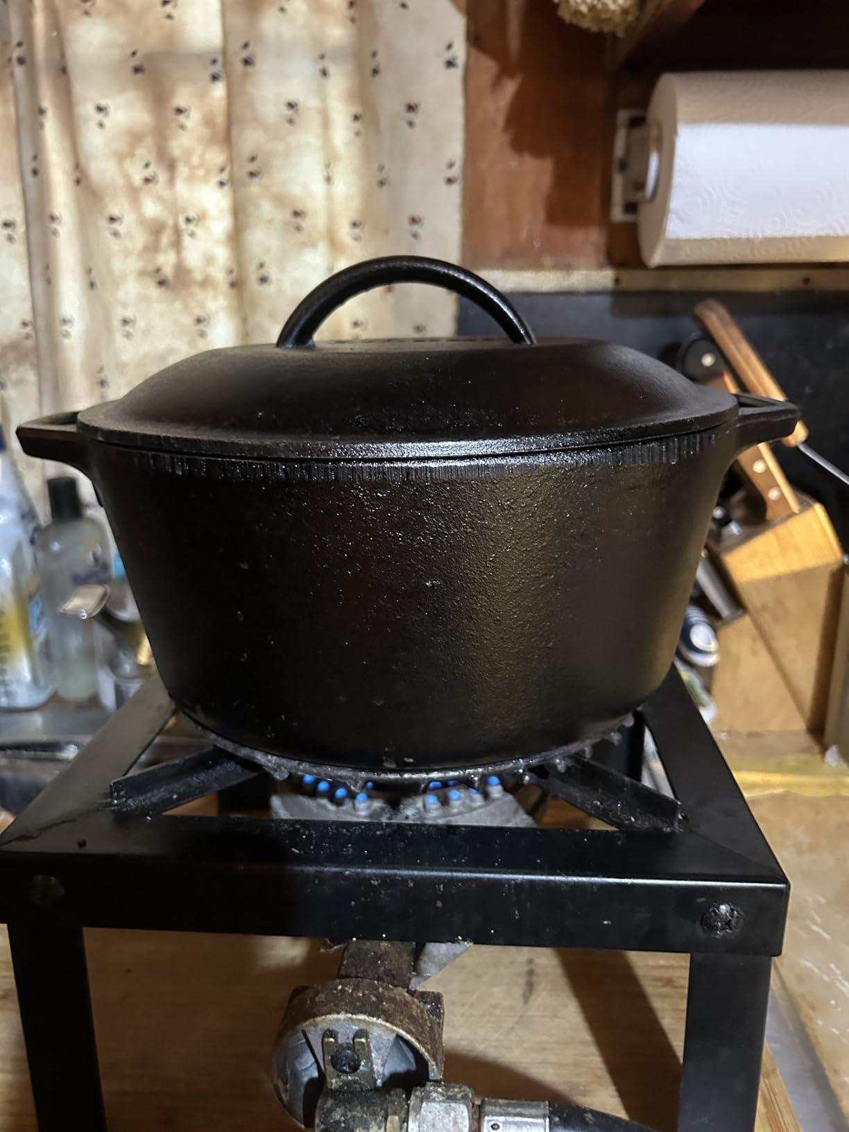 Lodge 7-Quart Cast Iron Dutch Oven - Made in USA, Pre-Seasoned, PFAS-Free and Non-Toxic customer photo 2