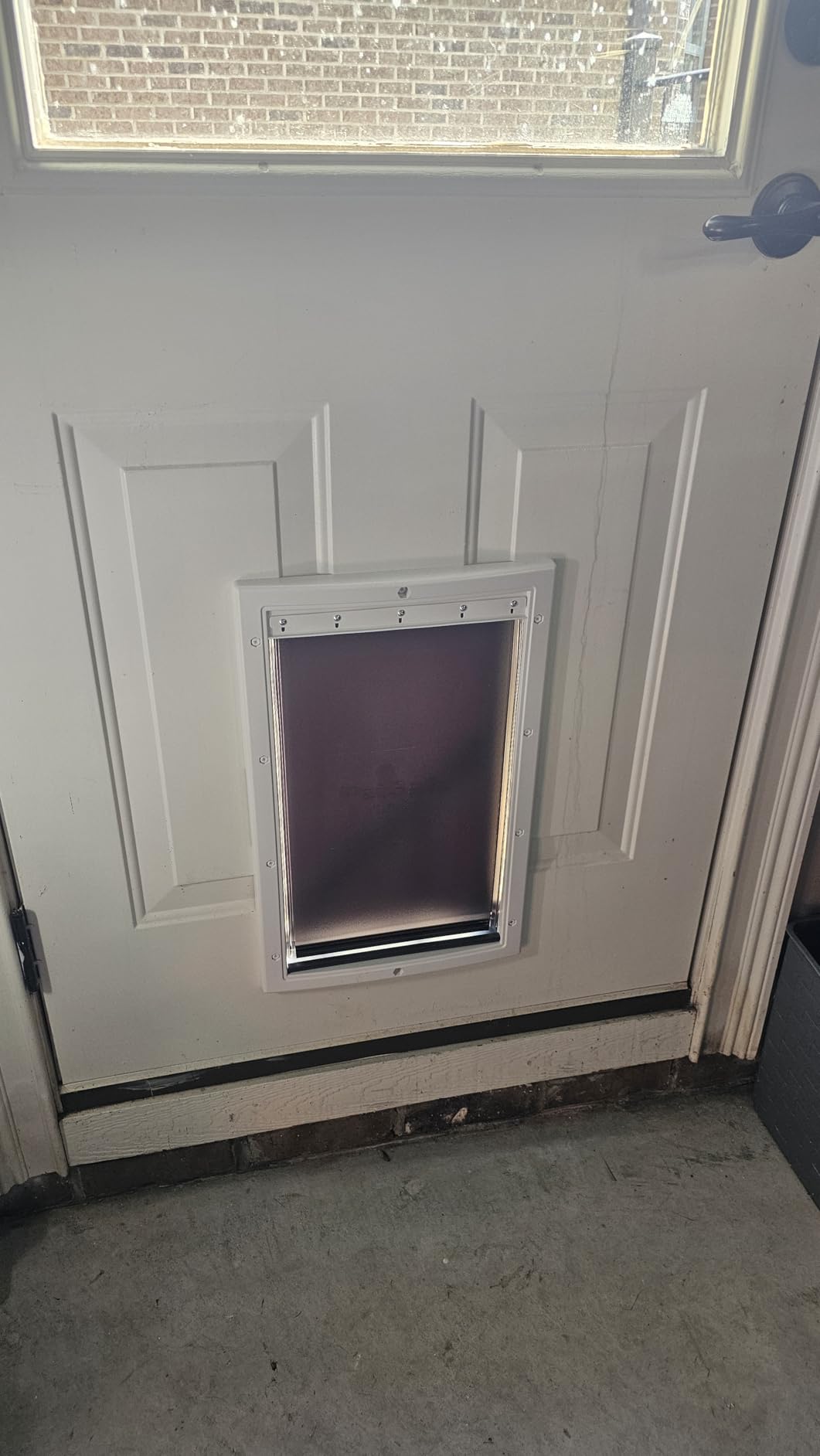 PetSafe Extreme Weather Pet Door - Insulated Weather-Resistant Dog & Cat Door with Durable Plastic Frame - Maximum Energy-Saving Efficiency - Large - for Dogs & Cats up to 100 lbs customer photo 1