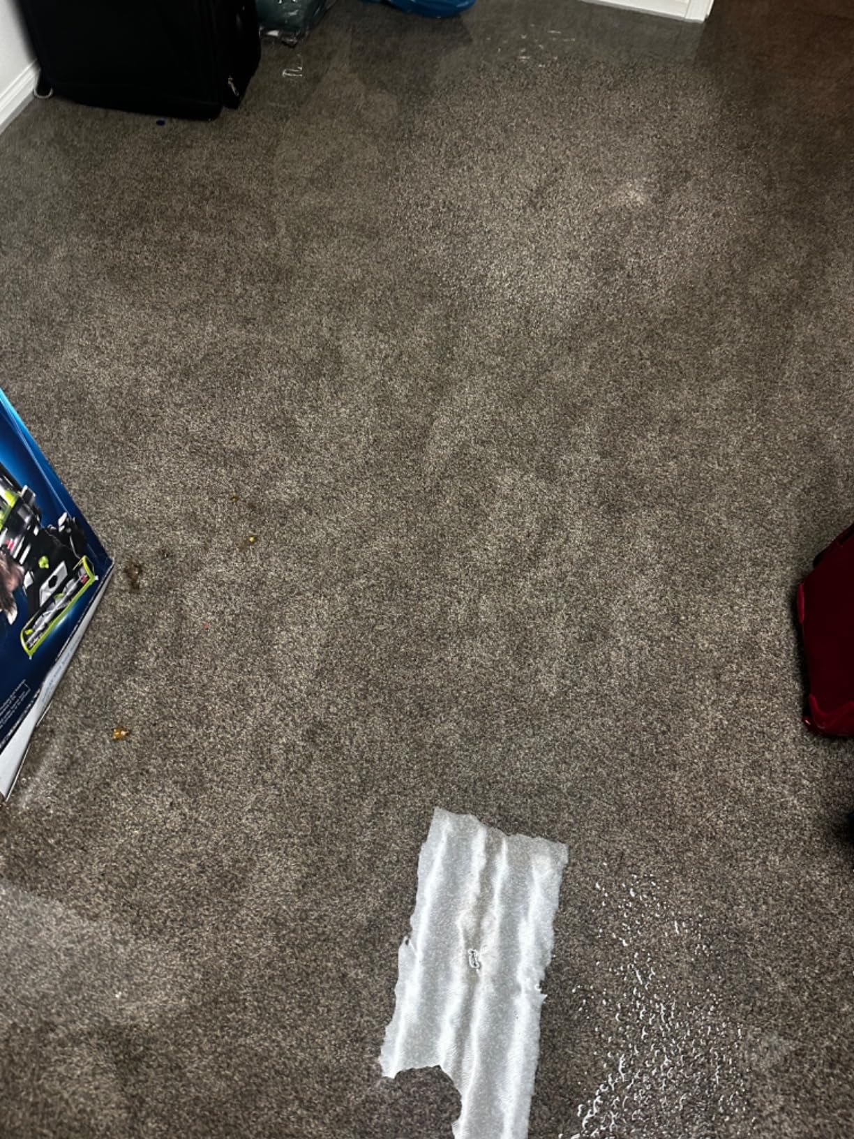 The Basement Watchdog Special CONNECT Battery Backup Sump Pump System - Up to 2,600 GPH - WiFi-Capable w/Add-on Module (BWSP) customer photo 1