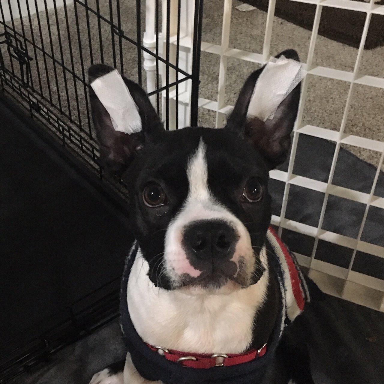 3M Medipore H Perforated Medical Tape 1\