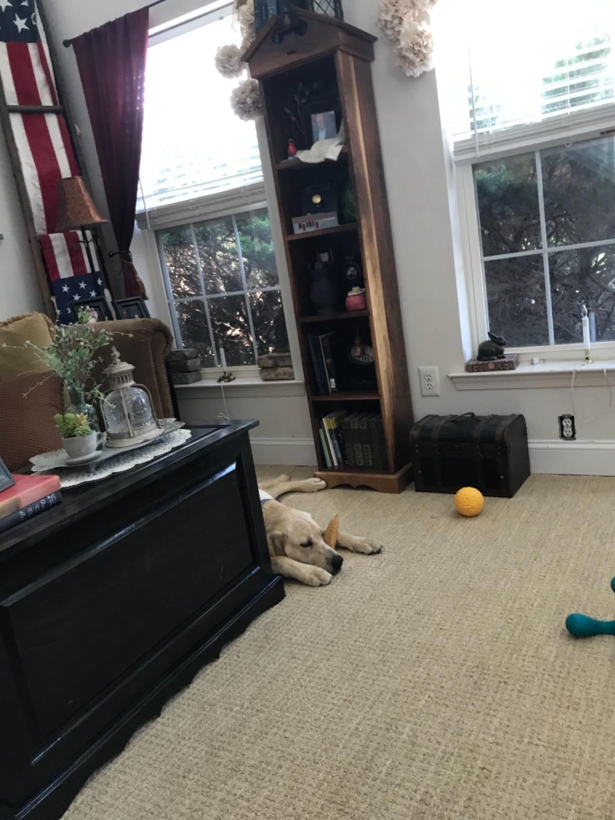 ROBERTS Economy Adjustable Knee Kicker,Black customer photo 2