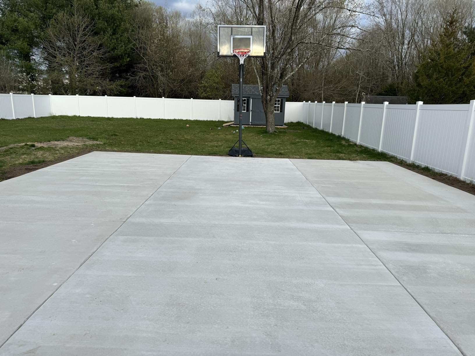 Lifetime Adjustable Basketball Hoop (54-Inch Polycarbonate) customer photo 2