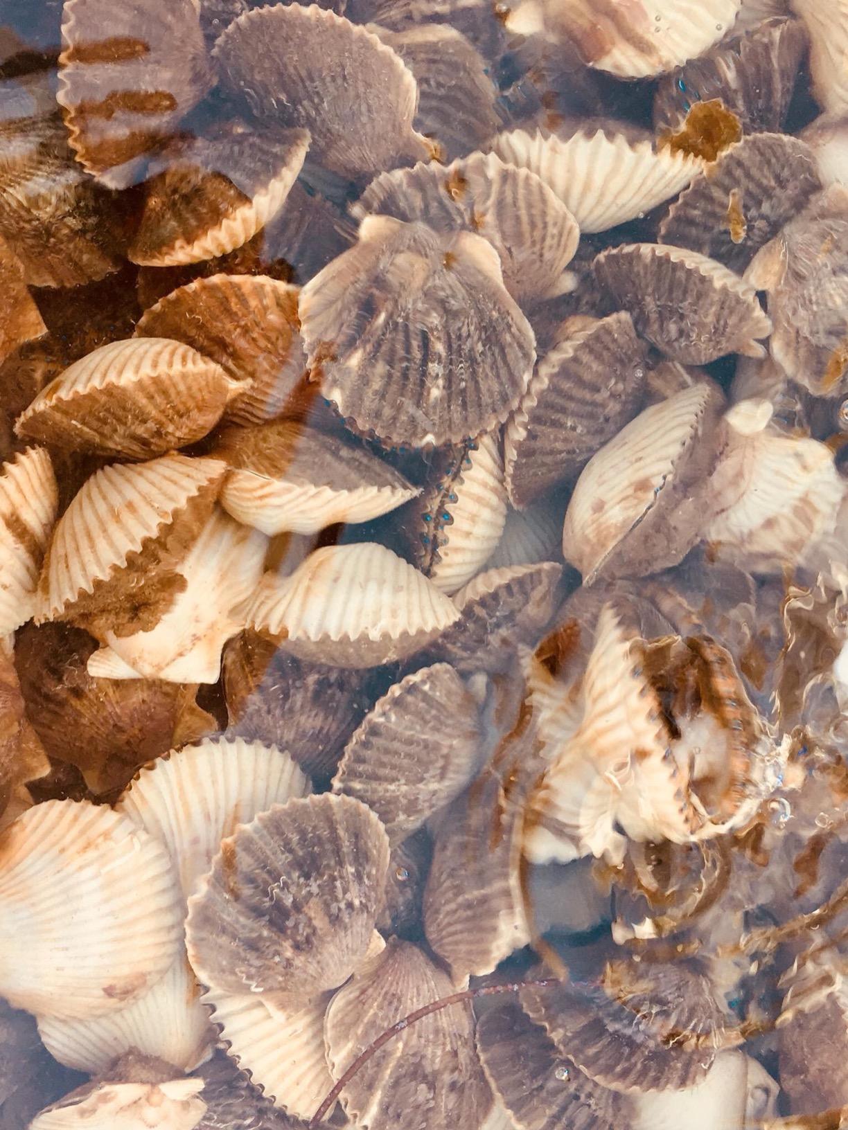 Cressi Matrix Adult Scuba Diving, Snorkeling, and Freediving Masks- Matrix: Made in Italy customer photo 1