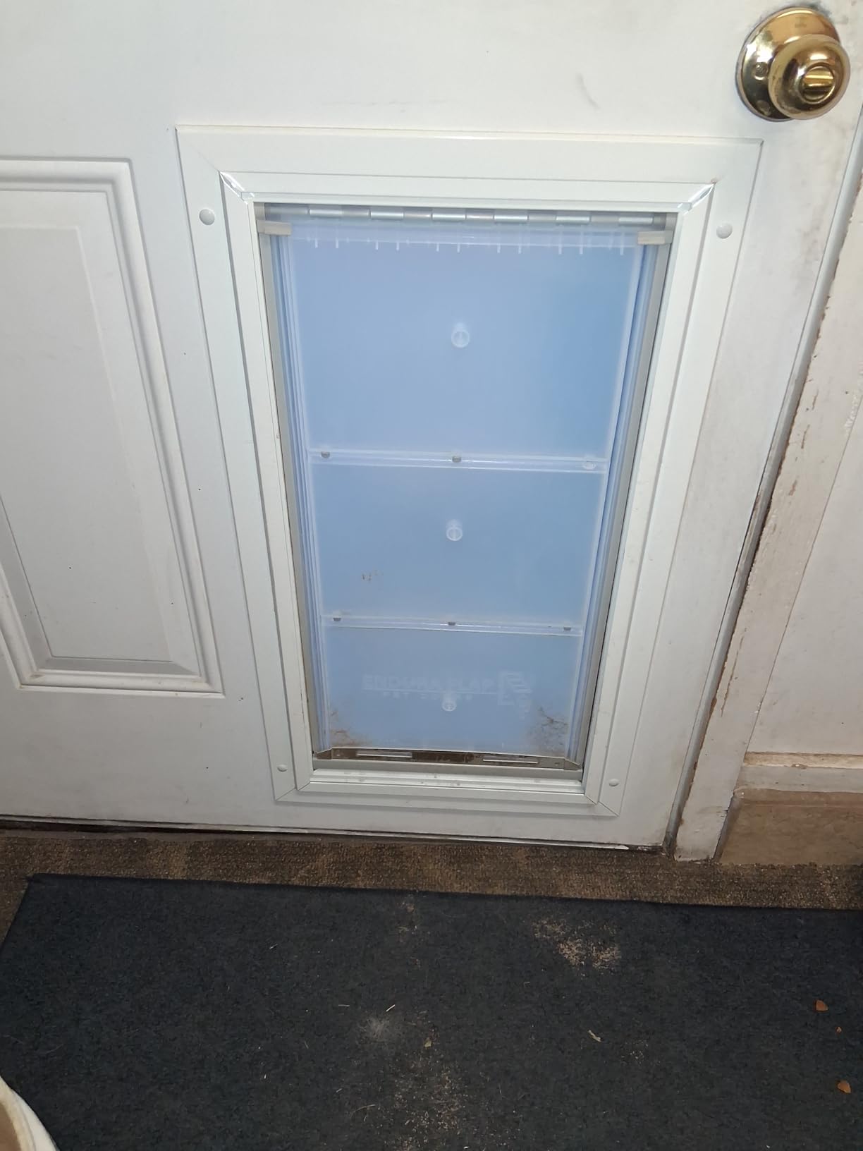 Endura Flap Double Flap Pet Door For Doors | All-Weather Insulated Flap | Durable Aluminum Frame with Secure Locking Cover | Interior and Exterior Door Installations | White, XL, Double Flap customer photo 1