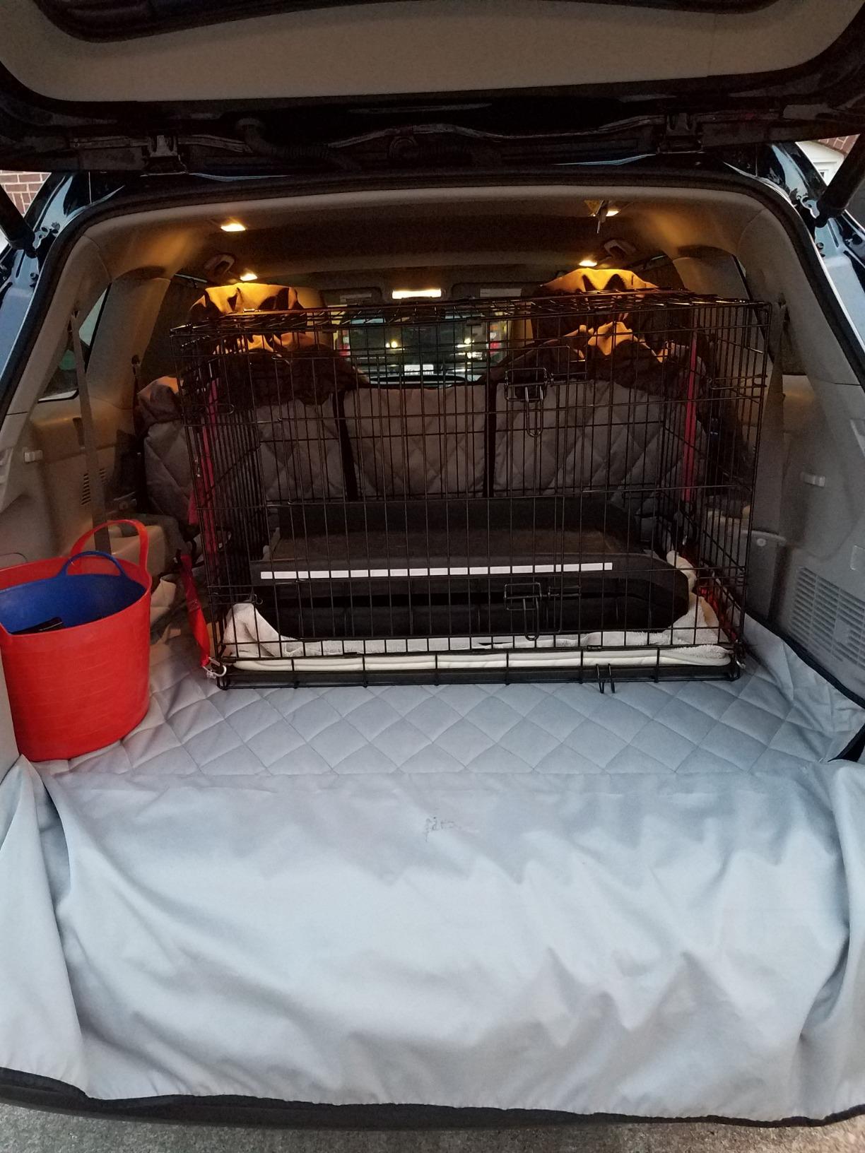 PetSafe Happy Ride Folding Pet Ramp for Cars, Trucks, & SUVs - 62 Inch Portable for Large Dogs with Siderails, Non-Slip, Supports up to 150 lb customer photo 2