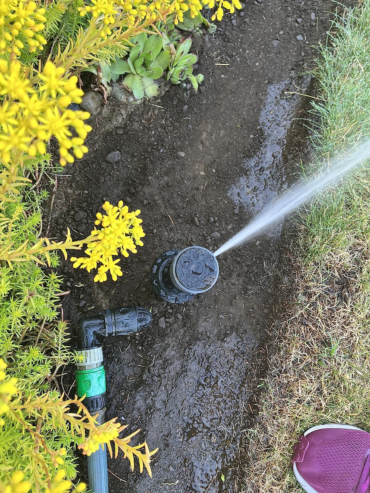 In-Ground 5-Inch Pop-Up Adjustable Sprinkler with Quick Hose Connector, QSK-741 customer photo 1