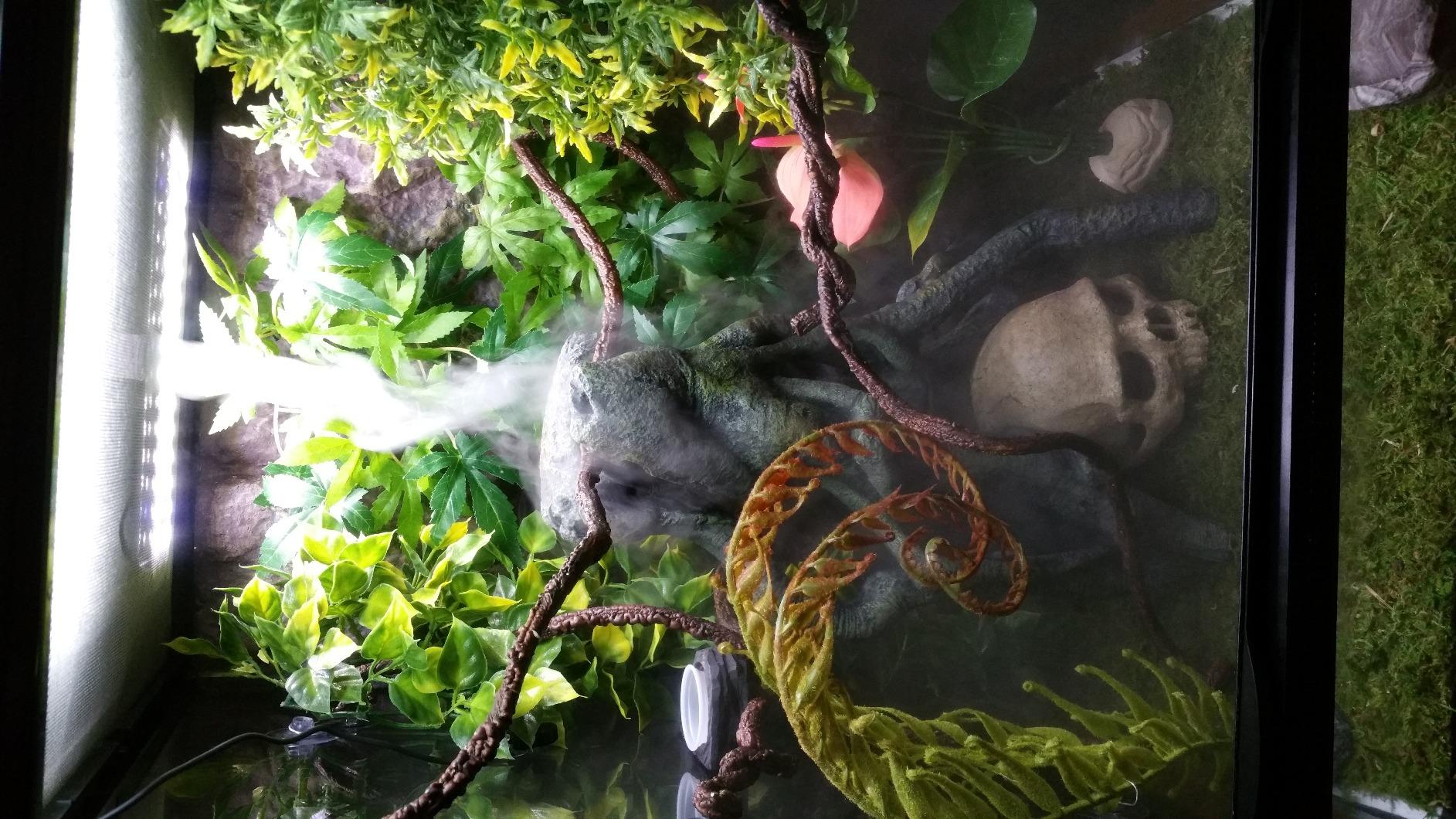 Zoo Med Repti Fogger customer photo 1