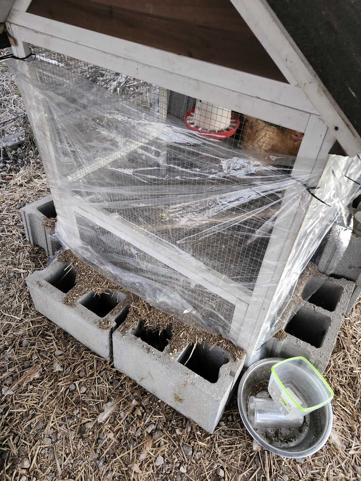 Farm Innovators Heated Chicken Waterer, Hanging Poultry Water Fountain, 3 Gallon, Red - Plastic Water Dispenser with Heater for Chicks, Chickens, and Livestock customer photo 2