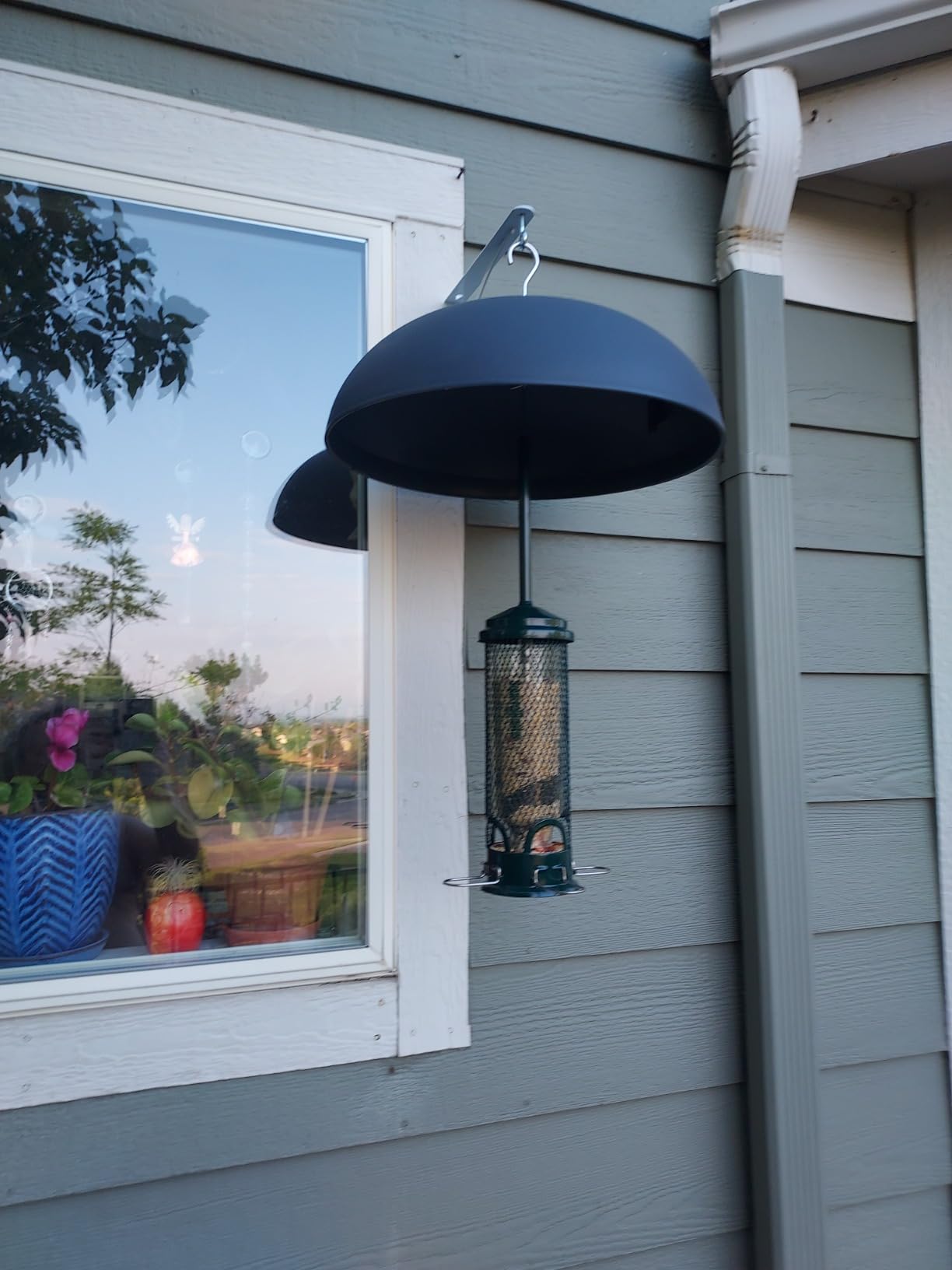 Squirrel Buster Mini Squirrel-Proof Bird Feeder for Wild Birds - 4 Metal Perches, 1 lb Seed Capacity, Chew-Proof Design, Lifetime Care, Garden Green customer photo 1