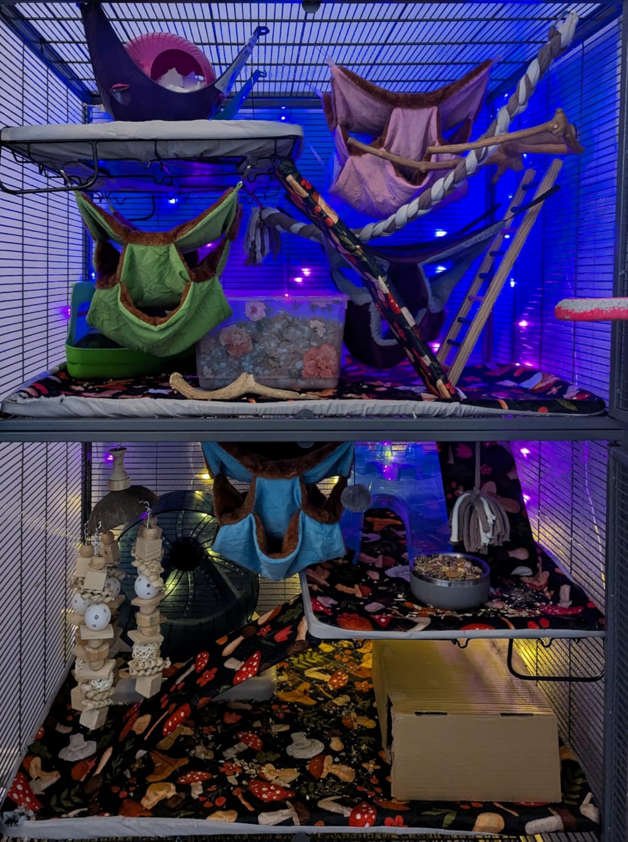 MidWest Homes for Pets Critter Nation Double Unit Small Animal Cage, 4 Tiers, Includes Pan, Shelf, Ramp & Cover, for Rats, Ferrets, Chinchillas, Sugar Gliders customer photo 1