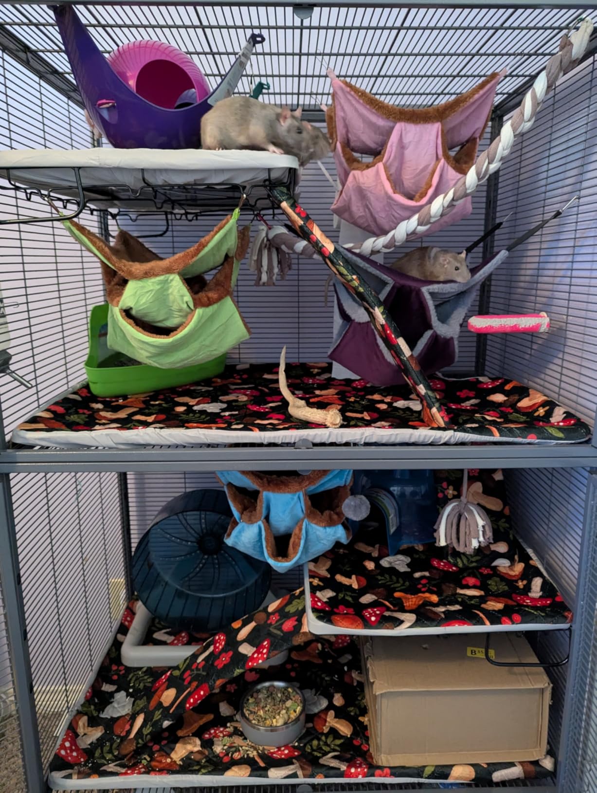 MidWest Homes for Pets Critter Nation Double Unit Small Animal Cage, 4 Tiers, Includes Pan, Shelf, Ramp & Cover, for Rats, Ferrets, Chinchillas, Sugar Gliders customer photo 2