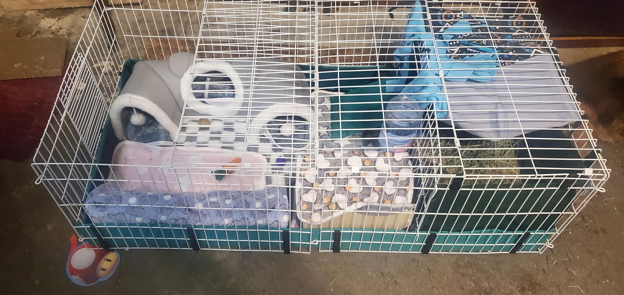 MidWest Homes for Pets Guinea Habitat Plus Cage, Includes Divider Panel and Hinged Top, Washable PVC Canvas Bottom, Expandable Small Animal Cage for Guinea Pigs, 171GHP customer photo 1