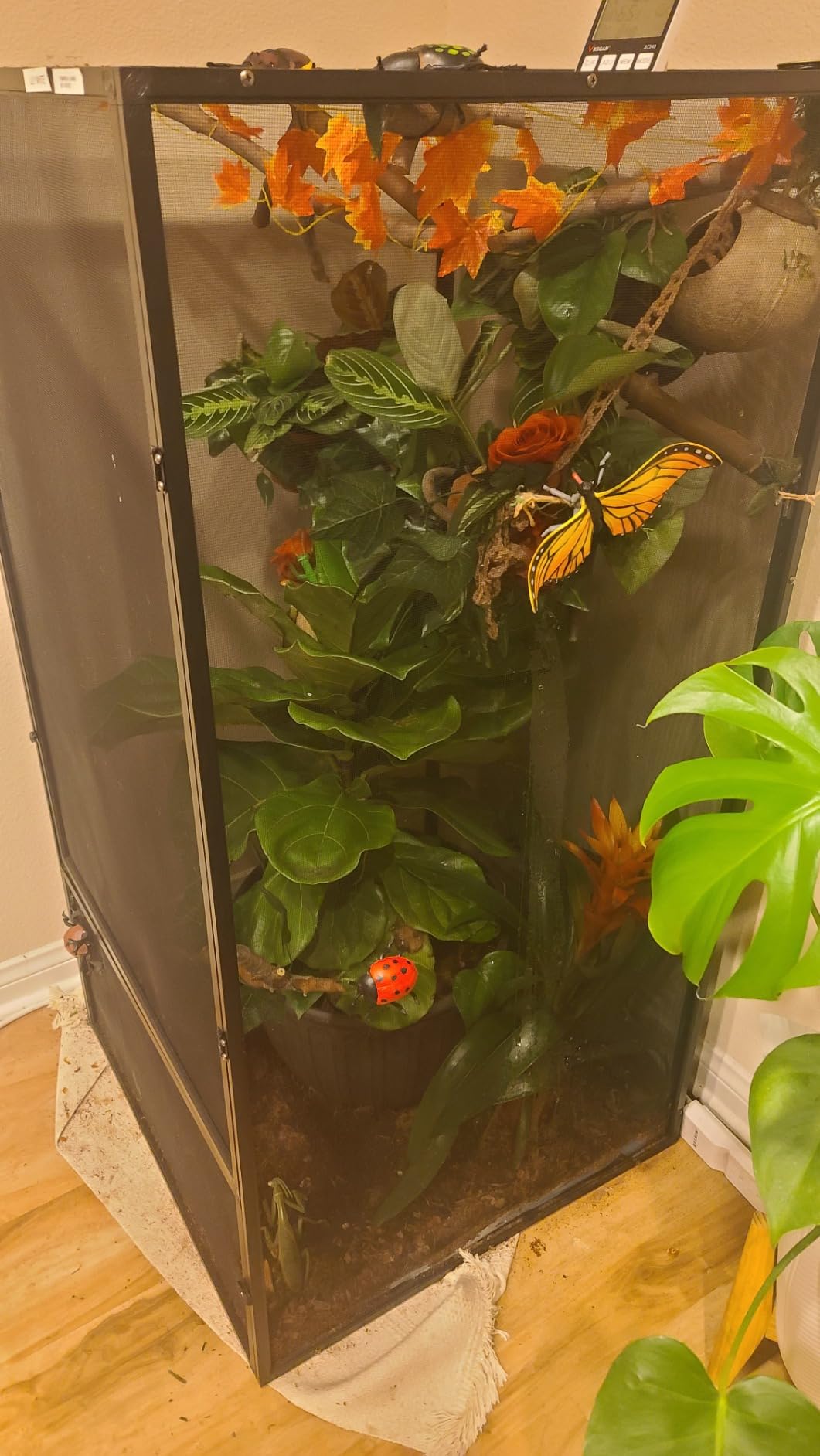 Zoo Med Reptibreeze Open Air Screen Cage 24x24x48 customer photo 2