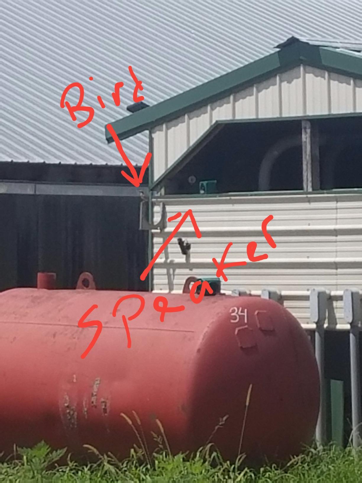 Ultrason X, 110v customer photo 2