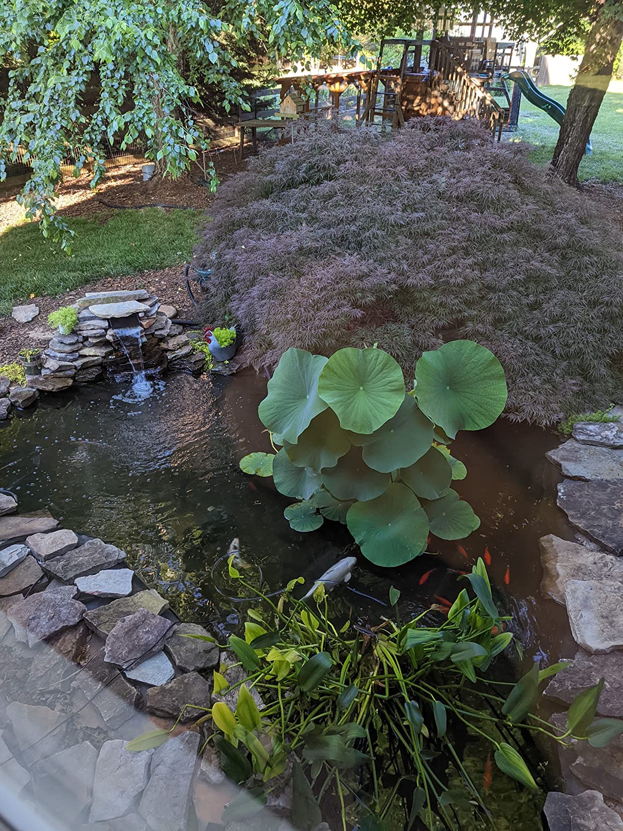 Tetra Pond Debris-Handling Pump, Energy Efficient, UL Listed customer photo 1