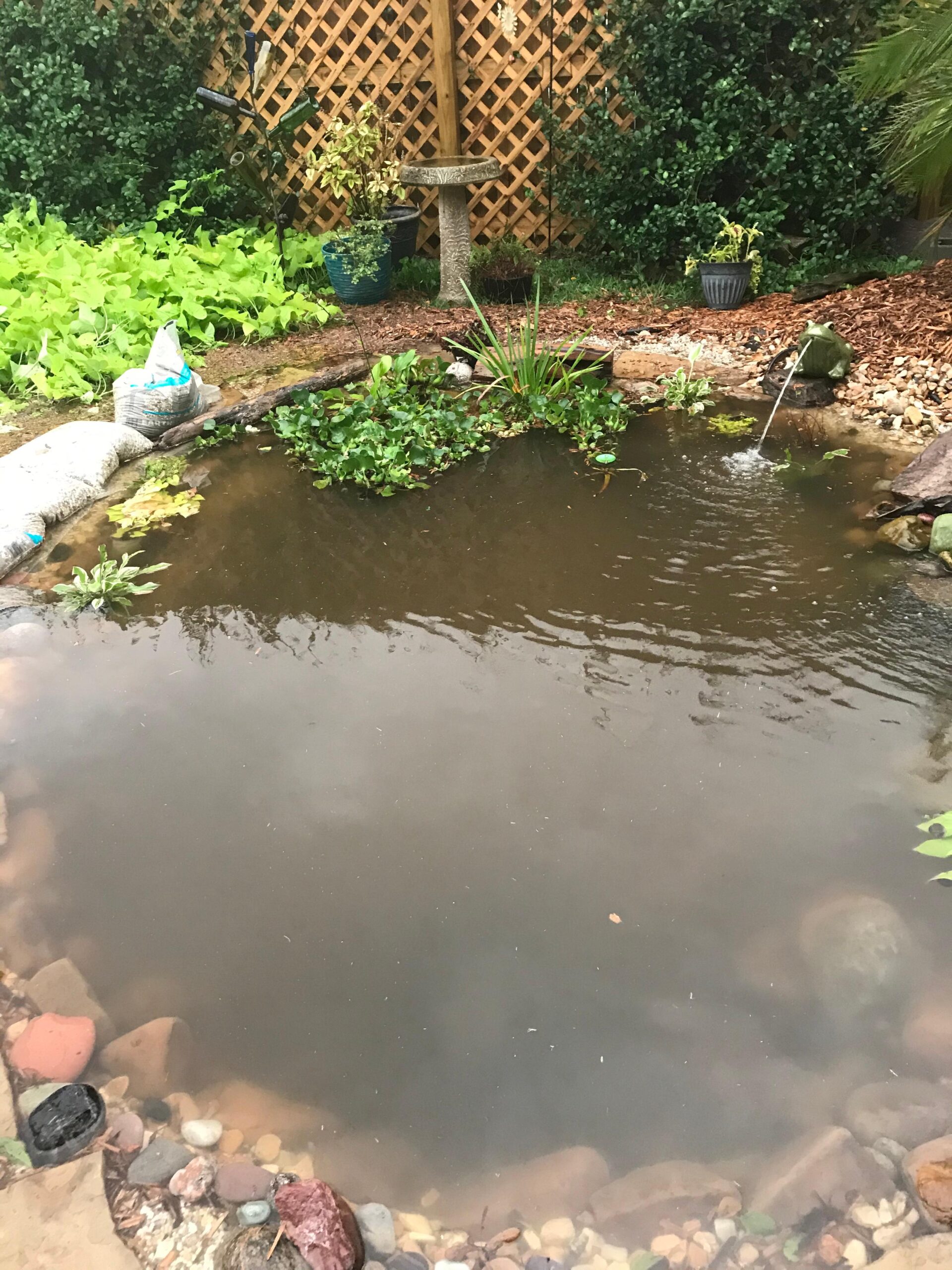 Tetra Pond Debris-Handling Pump, Energy Efficient, UL Listed customer photo 2