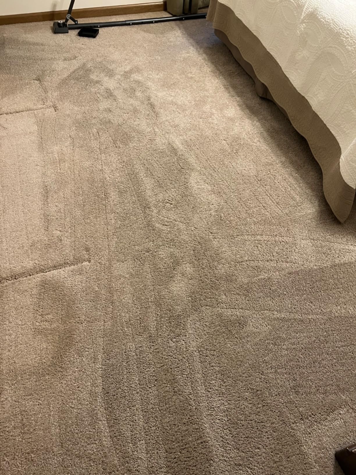 Adjustable Carpet Stretcher customer photo 2