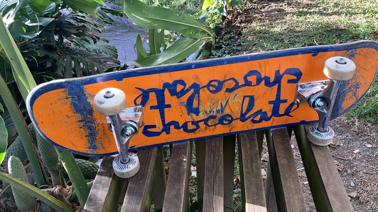 Spitfire Classic Series 54mm High Performance Skateboard Wheel (Set of 4) customer photo 1