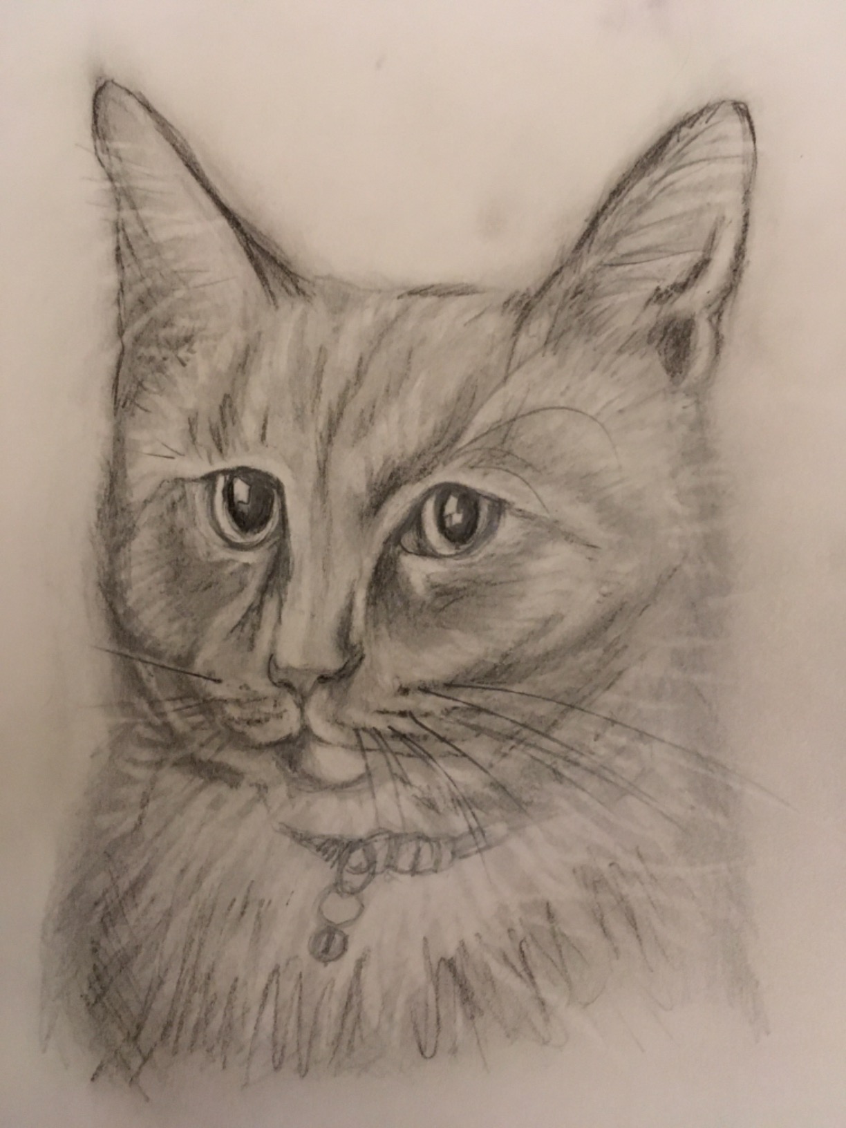 PRO ART Mannequin Drawing Set Value Pack - All-in-One Art Kit with Posable Wooden Mannequin Figure, Drawing Accessories, Artist Tools, and Model Reference customer photo 1