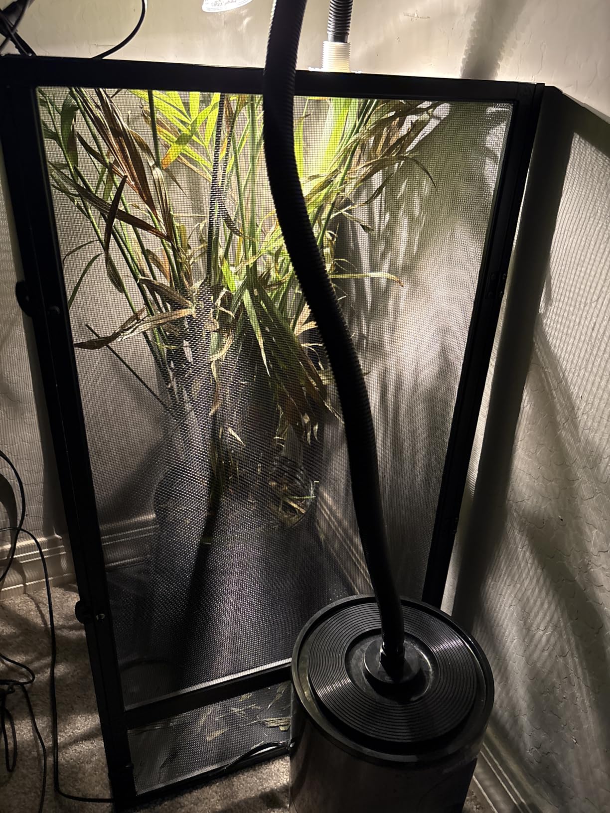 Zoo Med ReptiBreeze Open Air Screen Cage, Large, 18 x 18 x 36-Inches customer photo 1