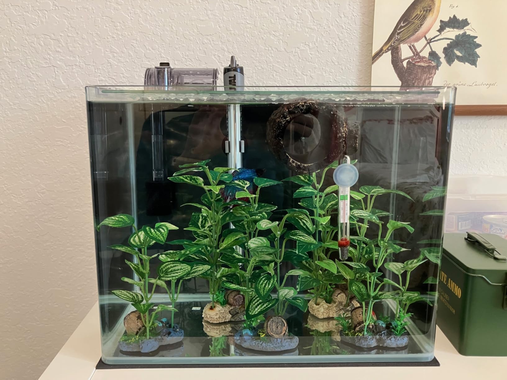 Fluval M 100-Watt Submersible Aquarium Heater - Compact, High-Performance, Reliable Heating For Fresh & Saltwater Tanks customer photo 1