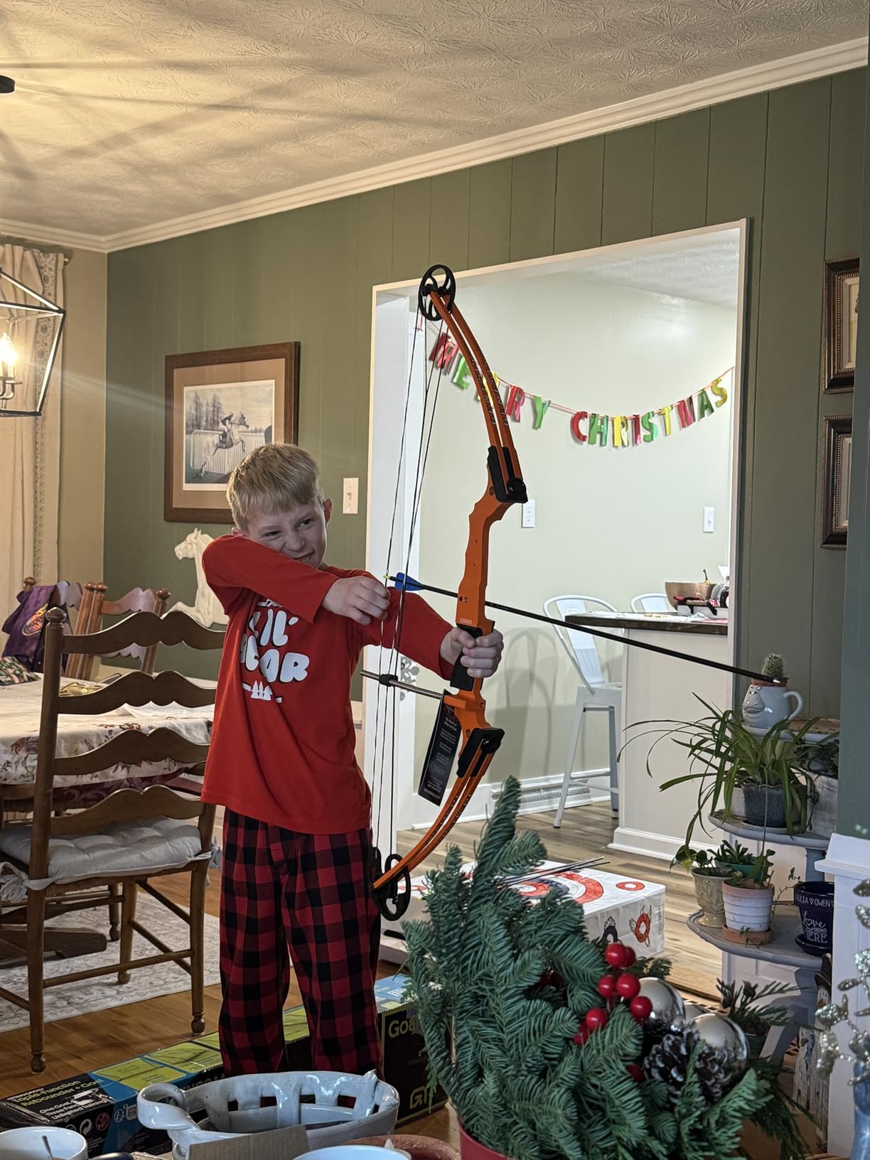 Genesis Original Bow, Lightweight Archery Compound Bow customer photo 1
