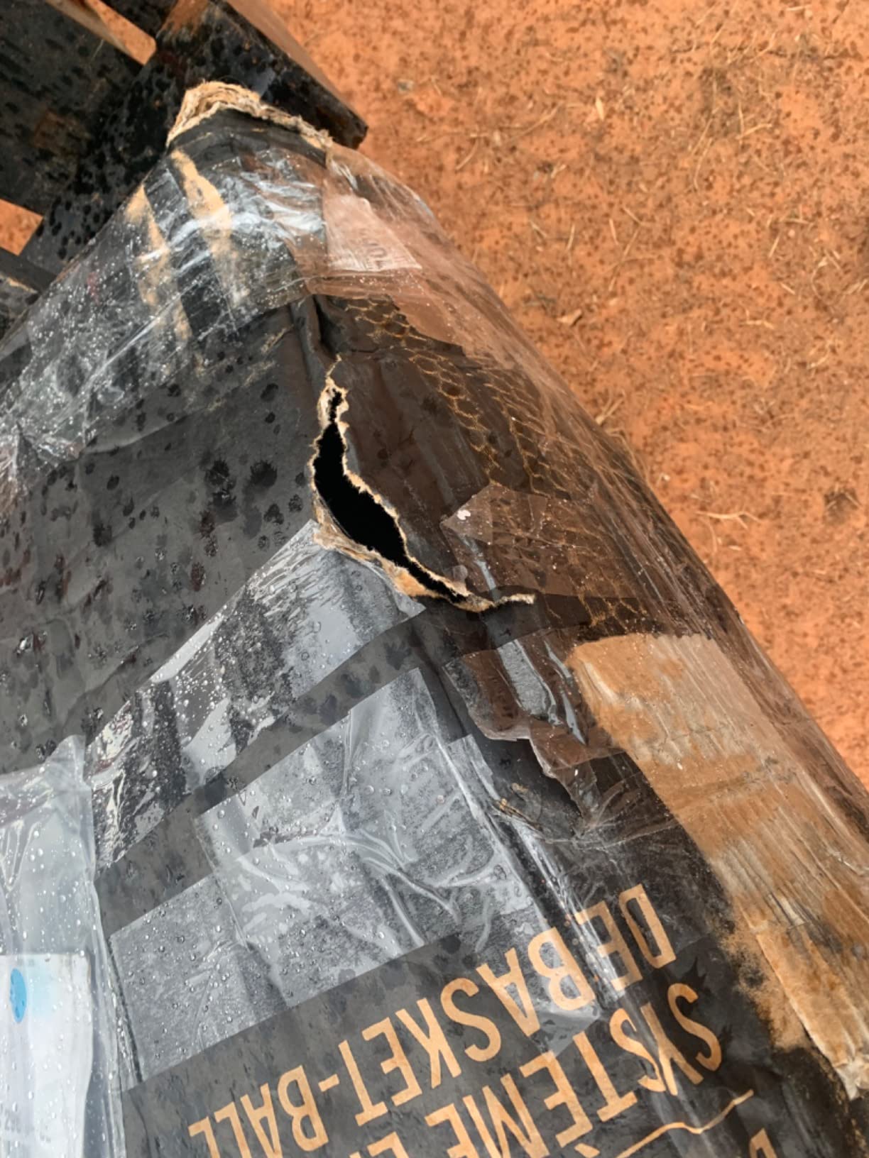 Lifetime 1008 Adjustable In-Ground Basketball Hoop, 44-Inch Backboard, Red/White/Blue customer photo 2