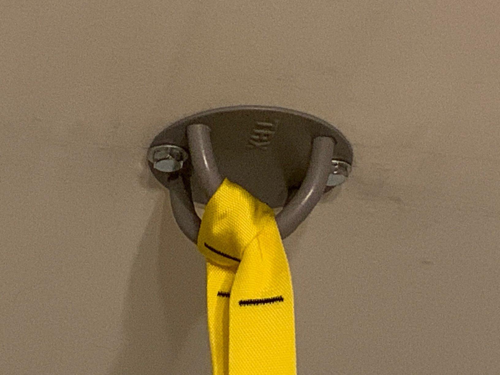 TRX All-In-One Home Gym System - Complete Suspension Training Kit for Strength Training, HIIT & Full-Body Workouts at Home or Outdoors customer photo 2