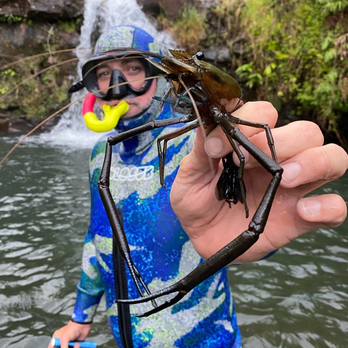 Hollis M1 Frameless Mask customer photo 2