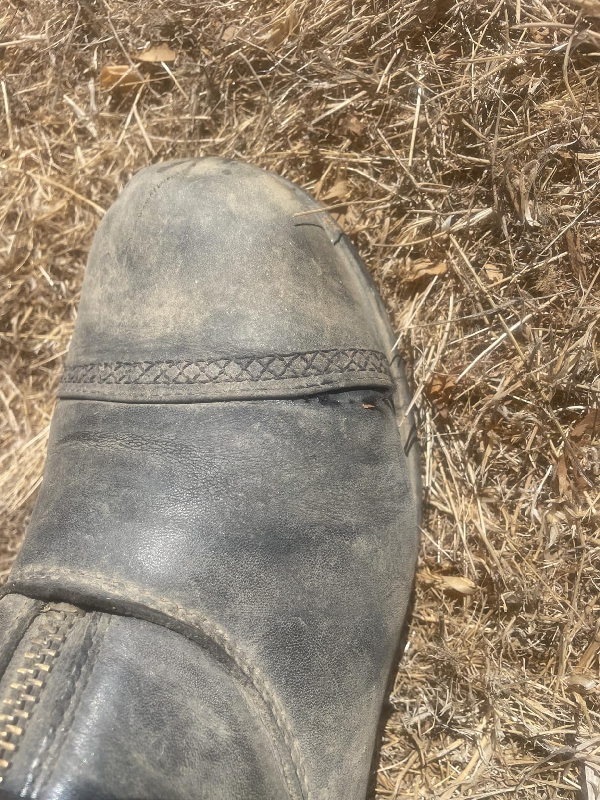 Women's Heritage RT Zip Paddock Boot customer photo 1