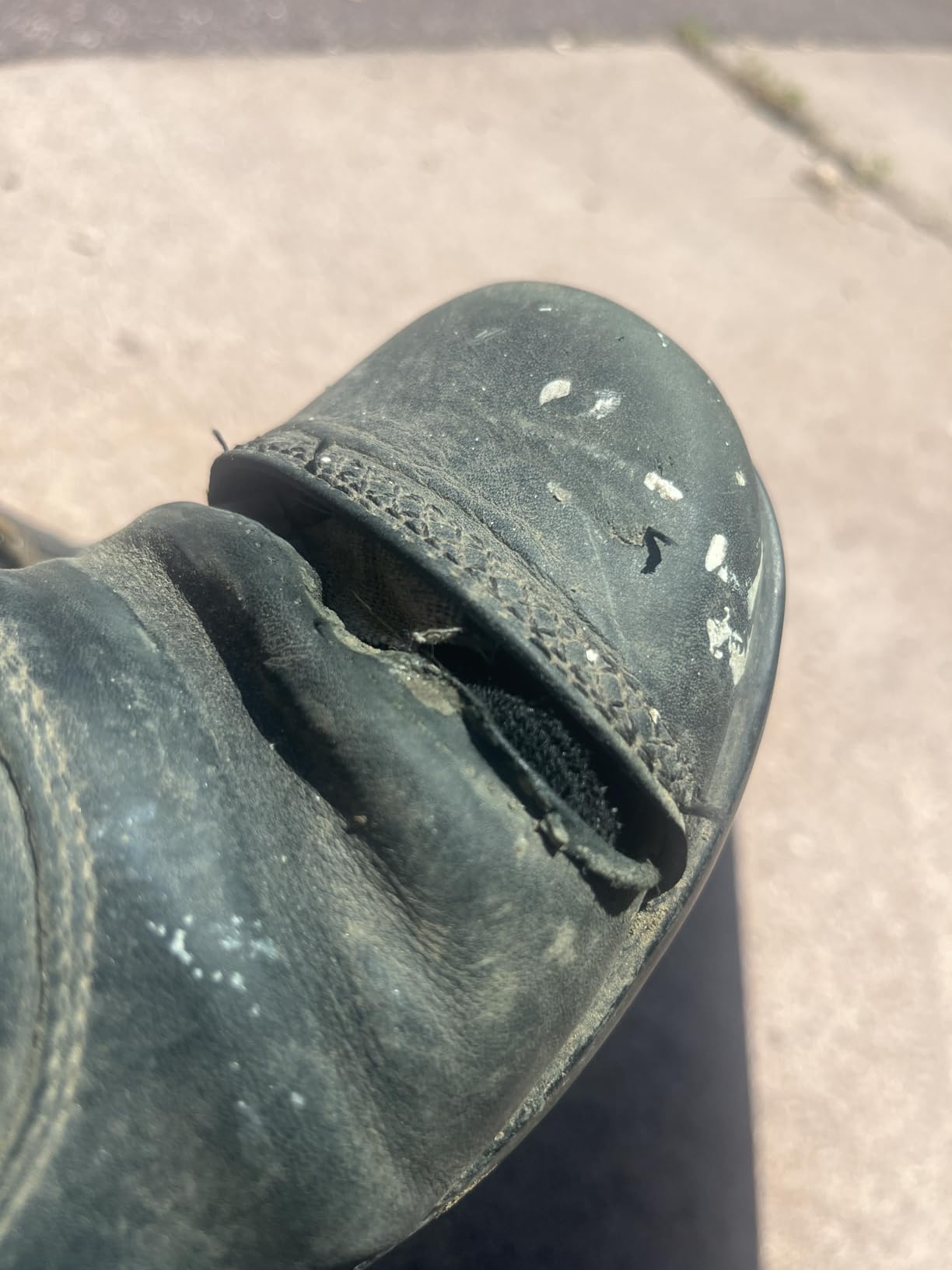 Women's Heritage RT Zip Paddock Boot customer photo 2